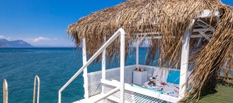 Gypsophila Club Marine