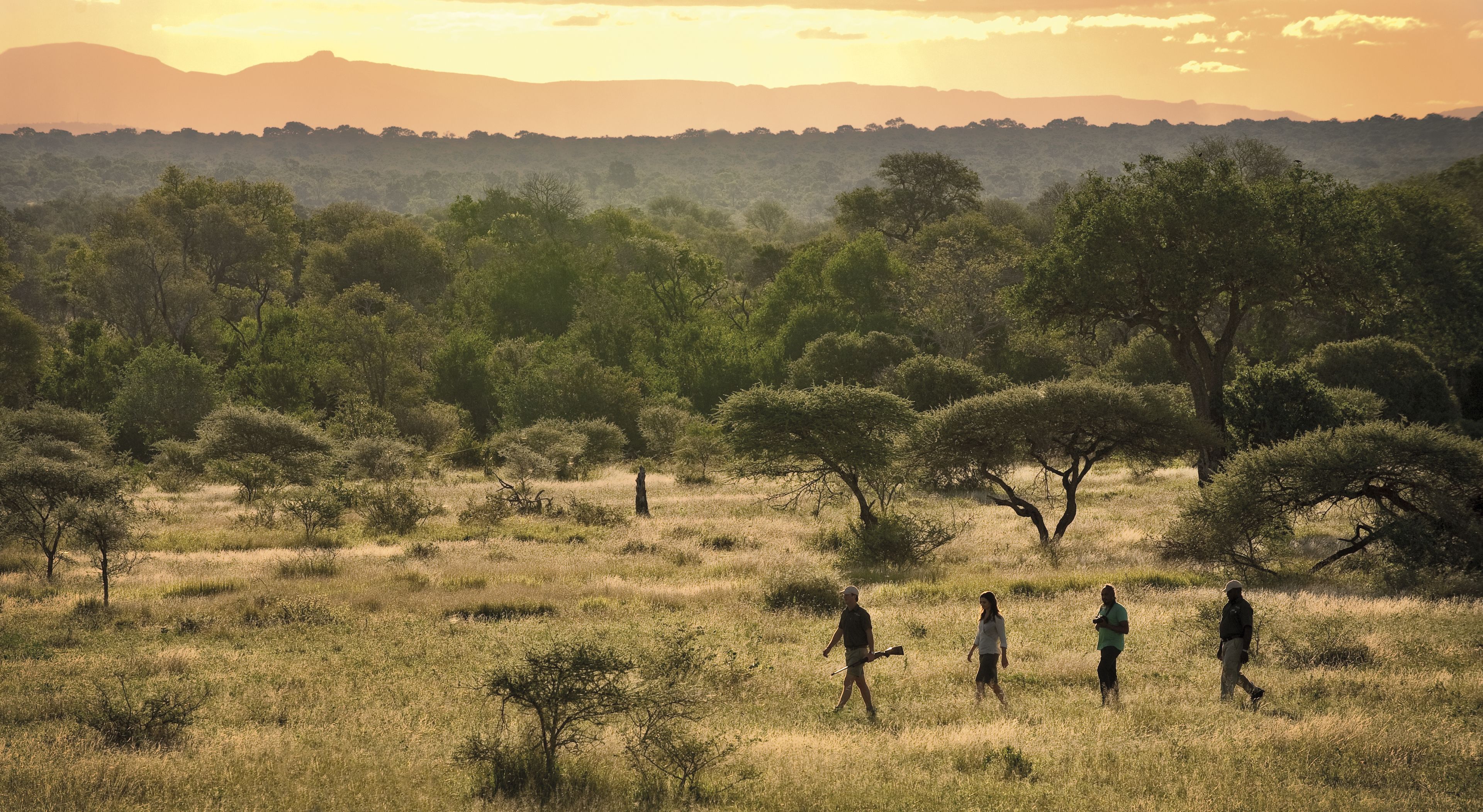 A savanna landscape with scattered trees and a group of people walking.