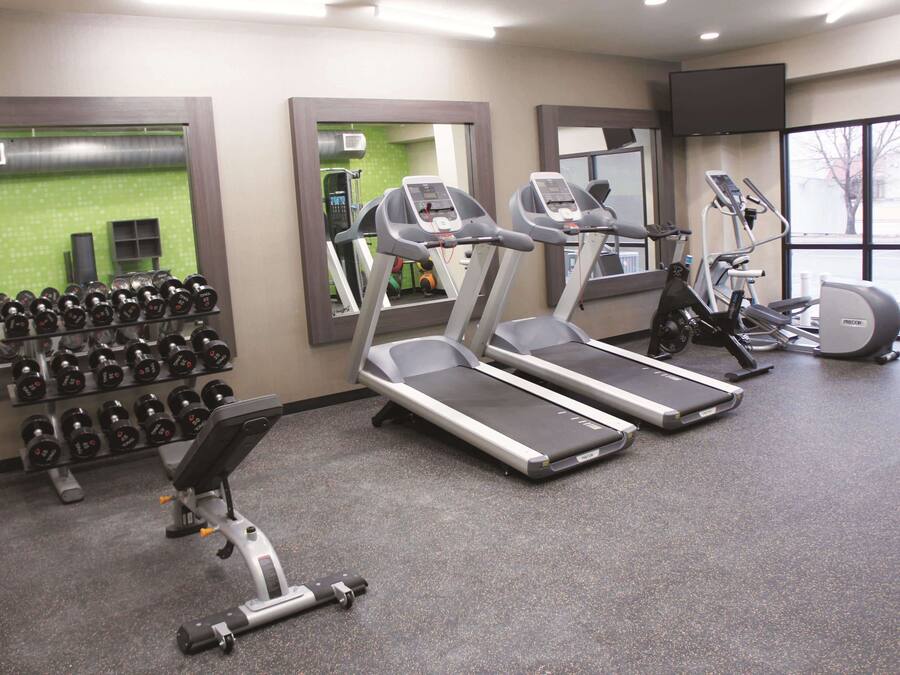 A gym with treadmills, dumbbells, and exercise equipment.