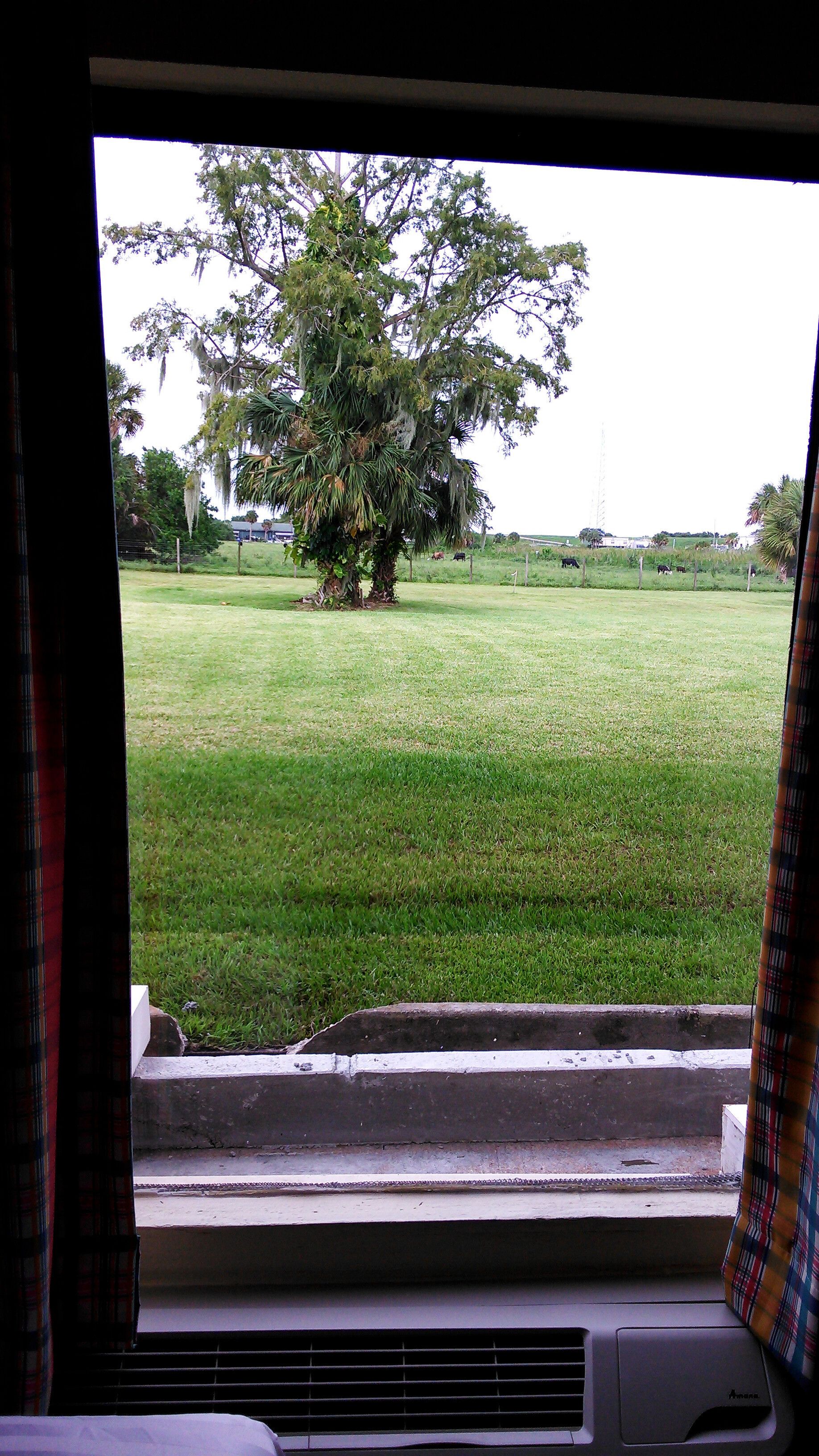 Vista desde el interior de un vehículo, mostrando un campo cubierto de césped, un árbol grande y una valla.