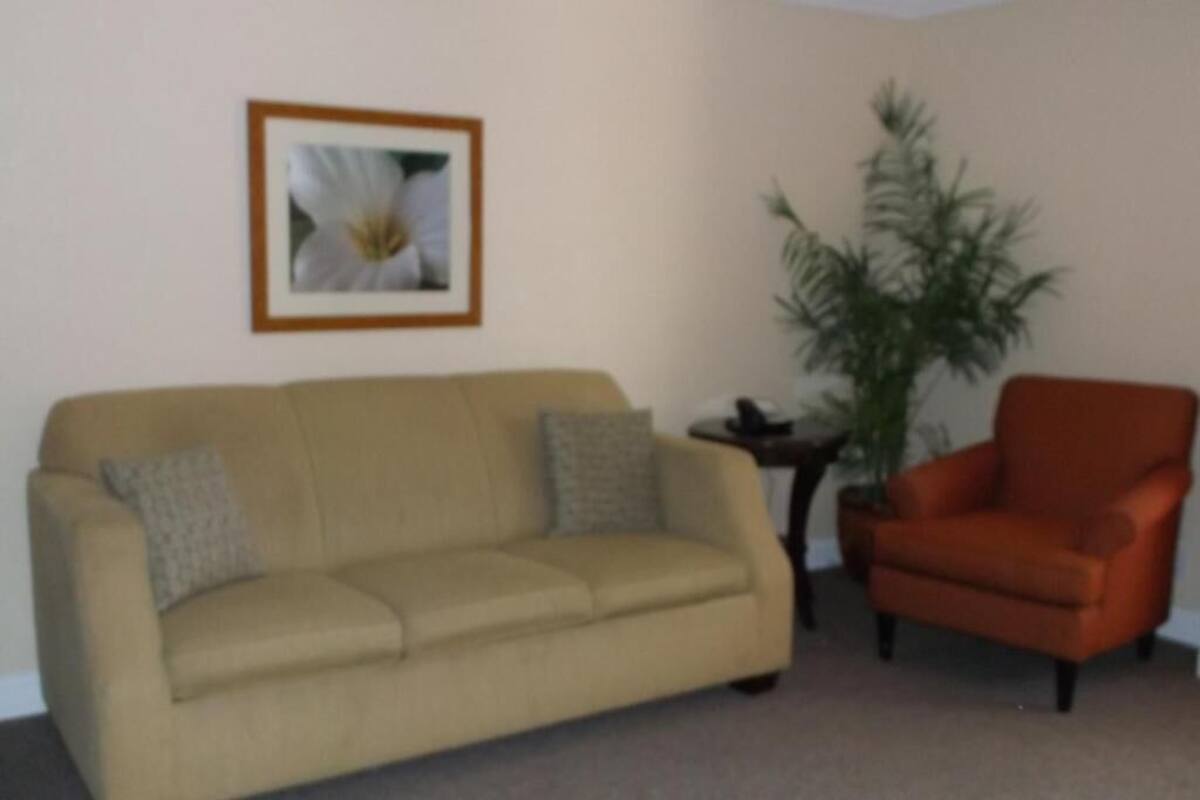 A living room with a beige sofa, an orange armchair, a framed picture on the wall, and a potted plant.