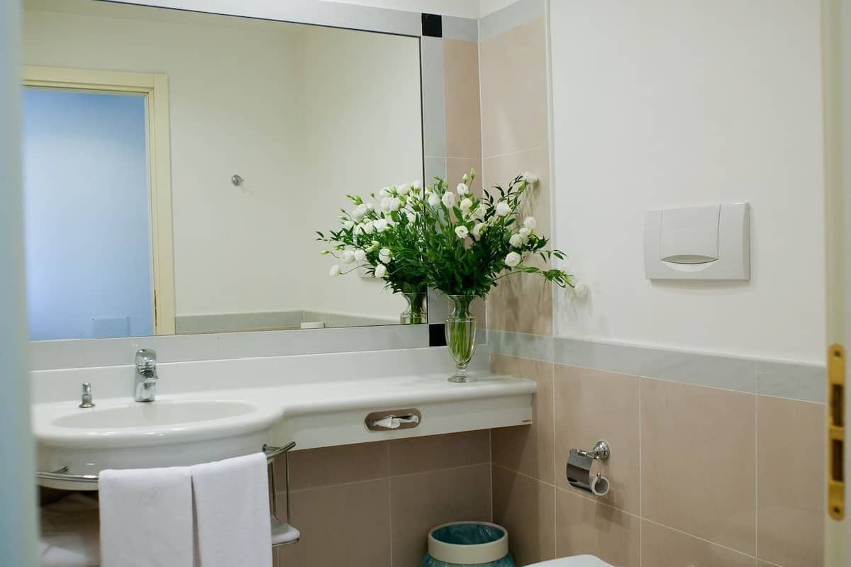 combined shower/bathtub, free toiletries, hair dryer