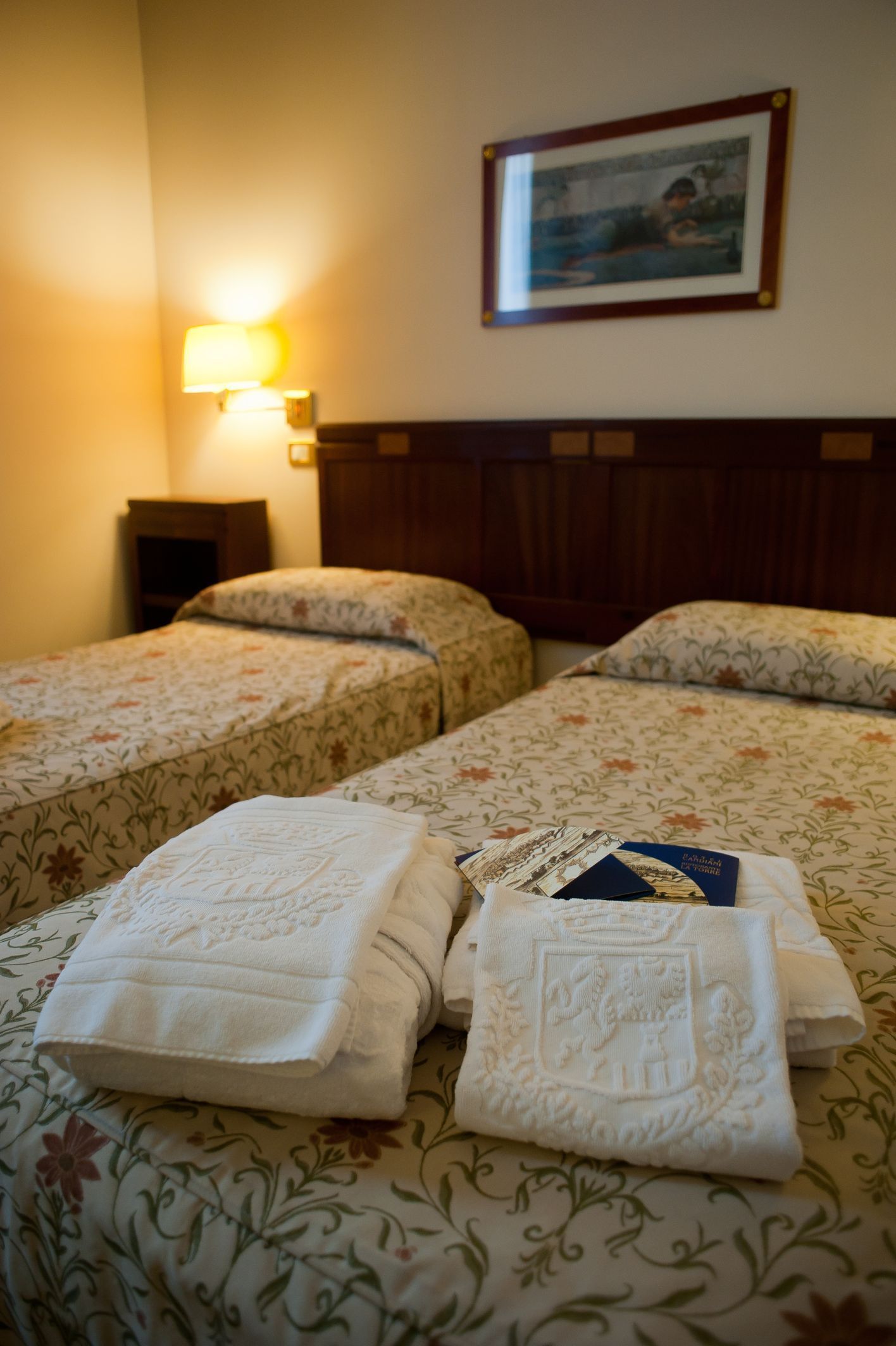 double or twin room | hypo-allergenic bedding, minibar, in-room safe, desk