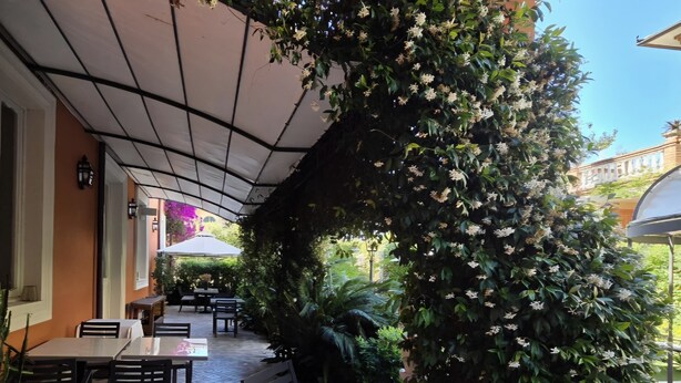 An outdoor patio with tables and chairs, a covered area with a ceiling, and lush greenery. - Hotel Viscardo (Forte dei Marmi)