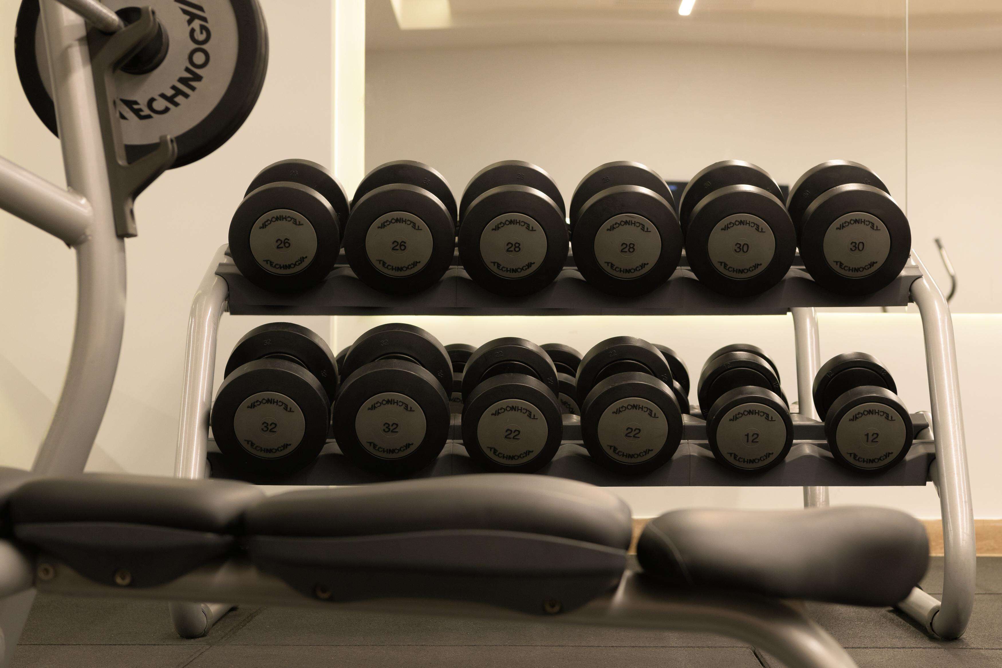 A weightlifting bench with a rack of dumbbells labeled with weights.