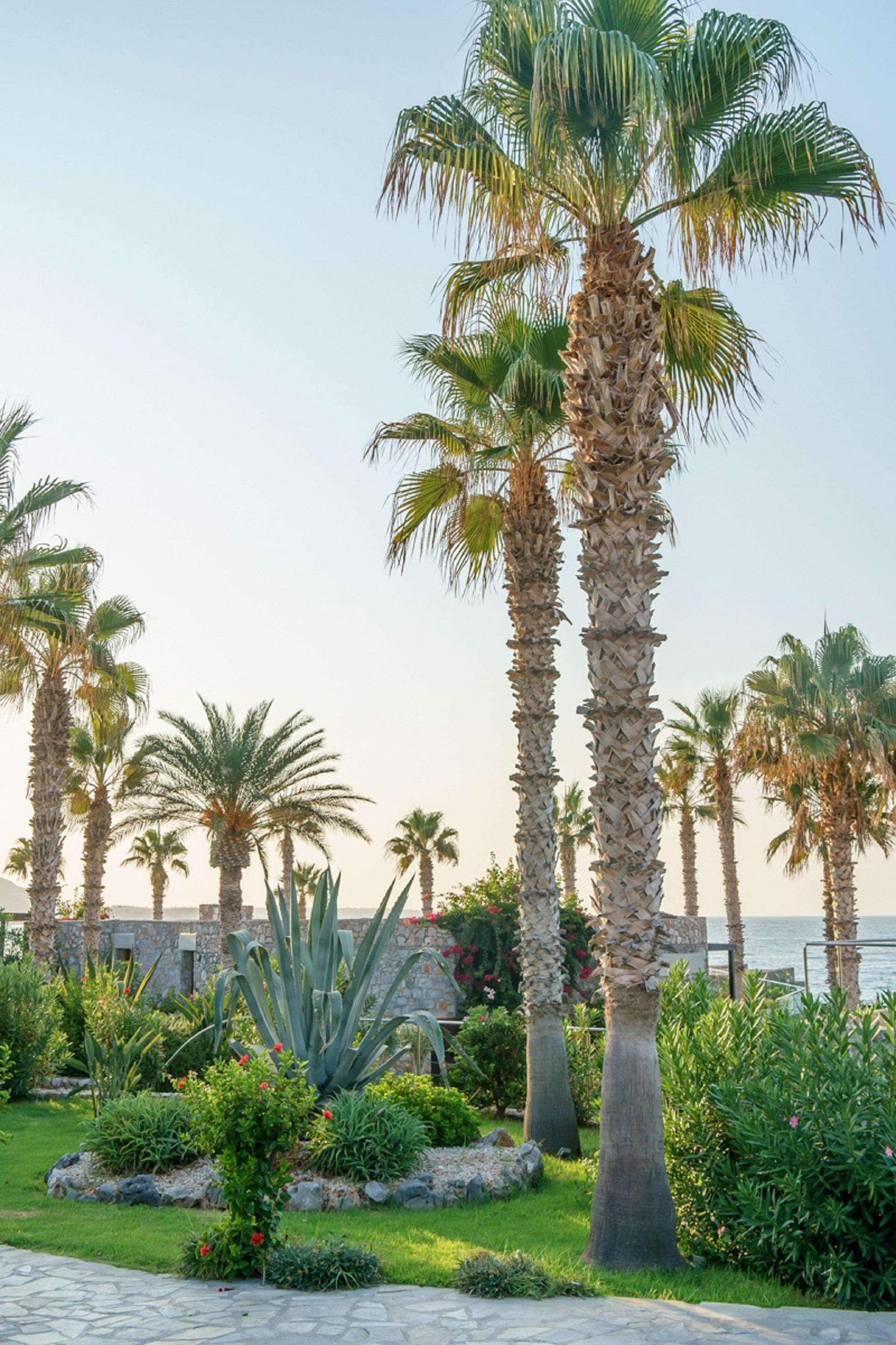 Foto - Ikaros Beach, Luxury Resort & Spa - Adults Only