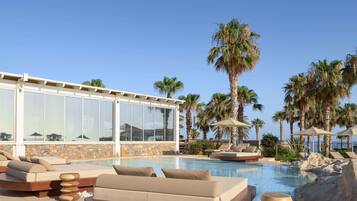 A poolside area with lounge chairs, a glass-enclosed building, and palm trees.