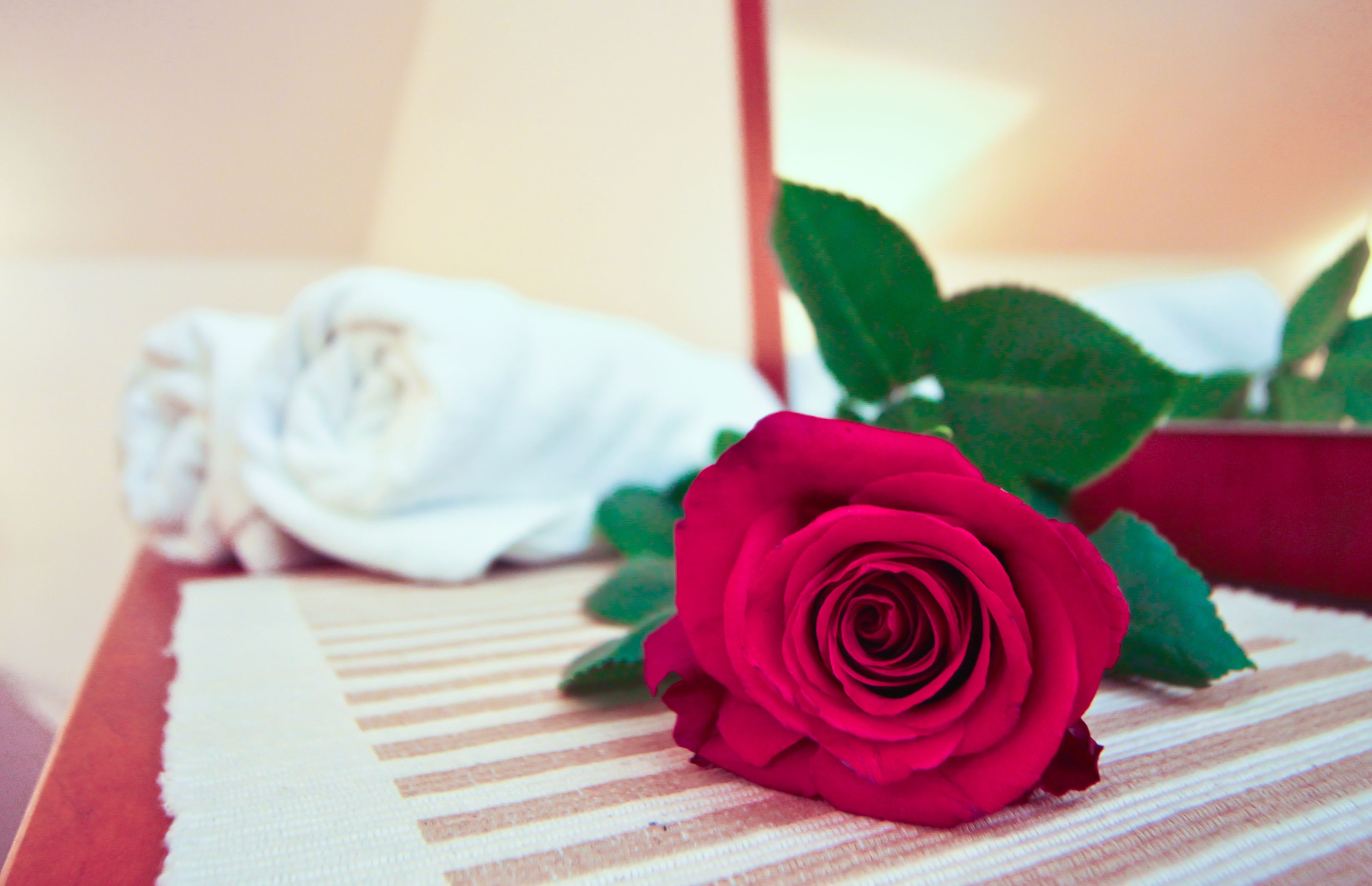 Une rose rouge posée sur un tissu à rayures, une serviette blanche et une boîte rouge ornée de feuilles vertes.