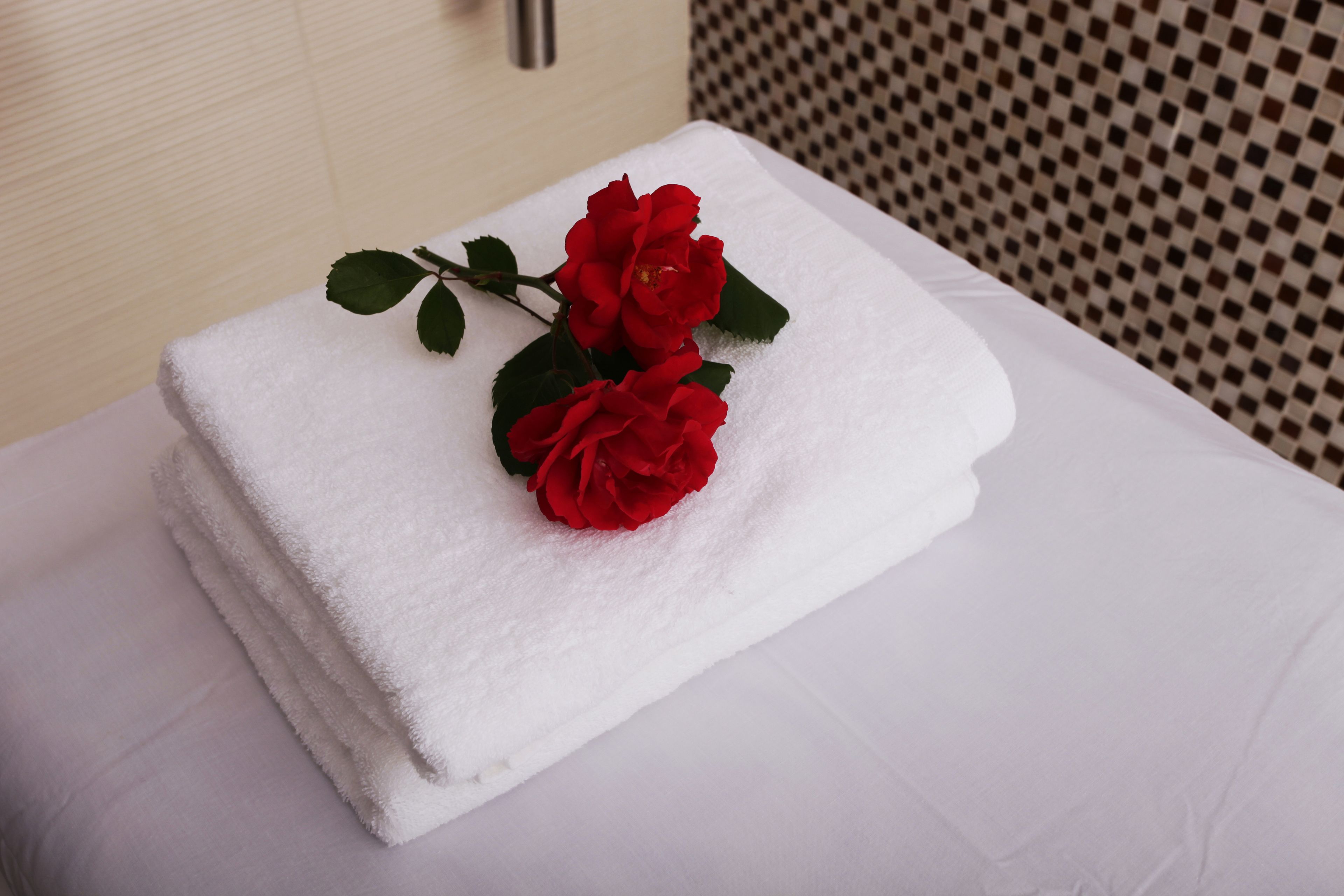 body scrubs, massage/treatment rooms