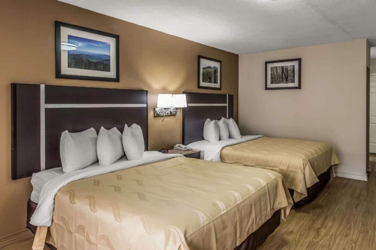 A hotel room with two beds, a nightstand, a lamp, and framed pictures on the walls.