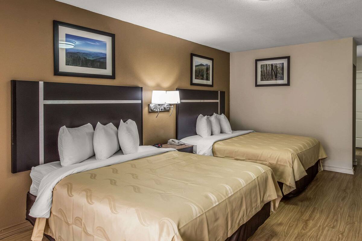 A hotel room with two beds, a nightstand with a lamp, and framed pictures on the walls.