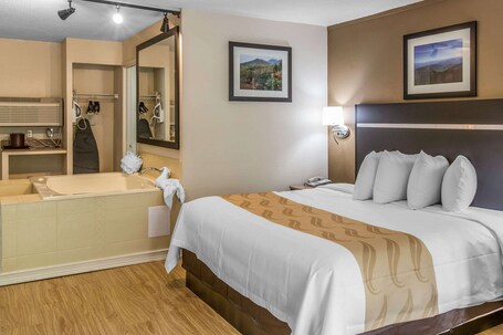 Quality Inn Suites - Image 27