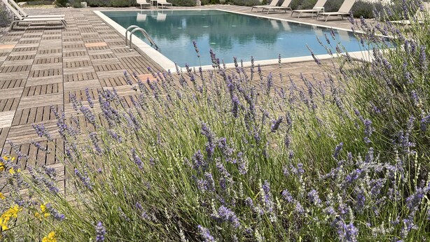 Un espace piscine doté d’une terrasse en bois, de chaises longues et offrant une vue sur un bâtiment en arrière-plan.