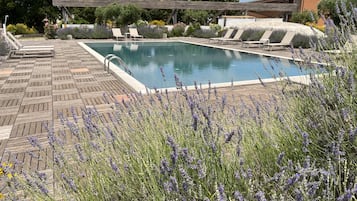 Outdoor pool, pool umbrellas, sun loungers