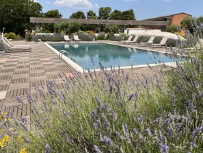 Piscine extérieure, parasols de plage, chaises longues