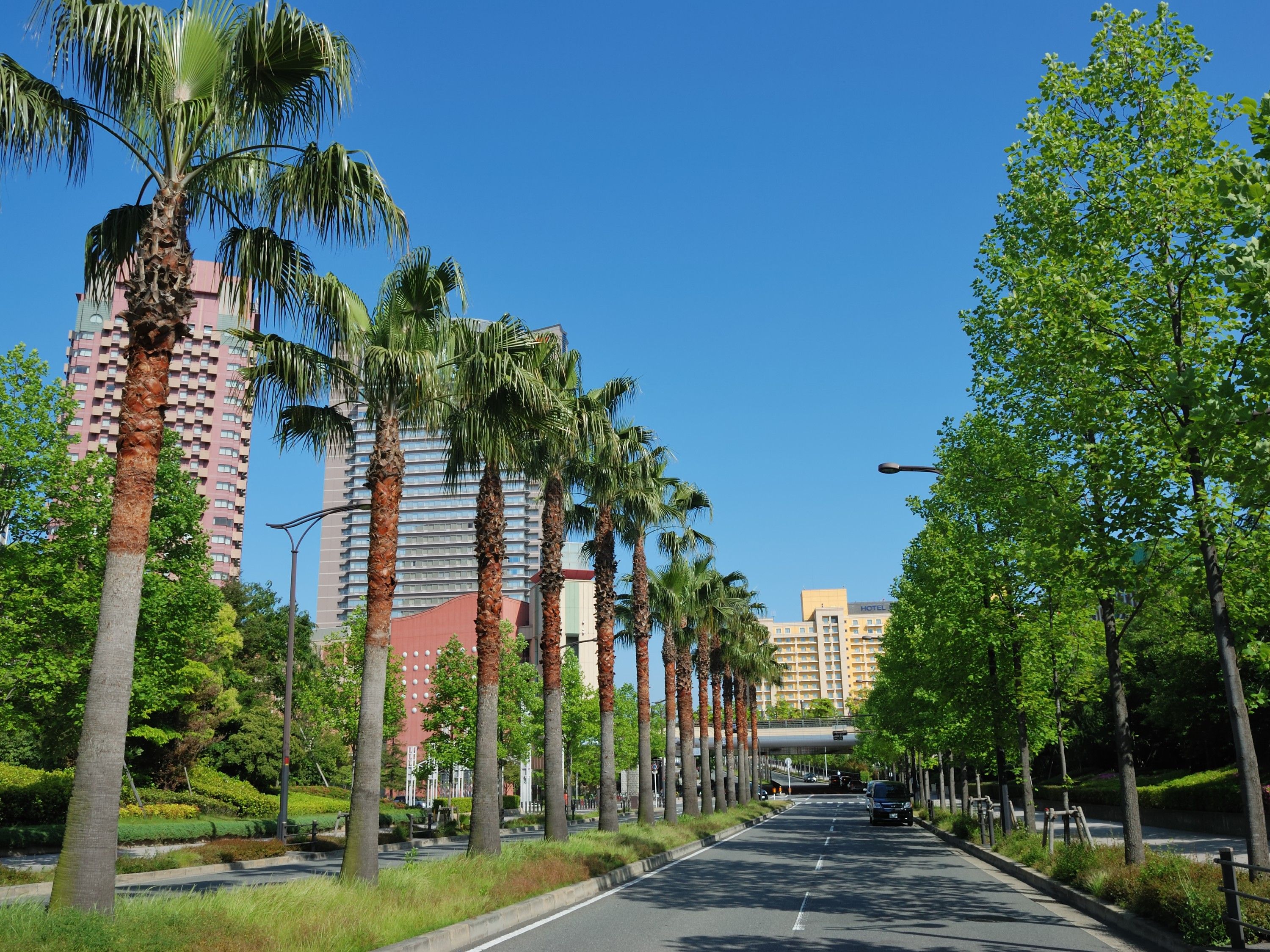 住宿景观