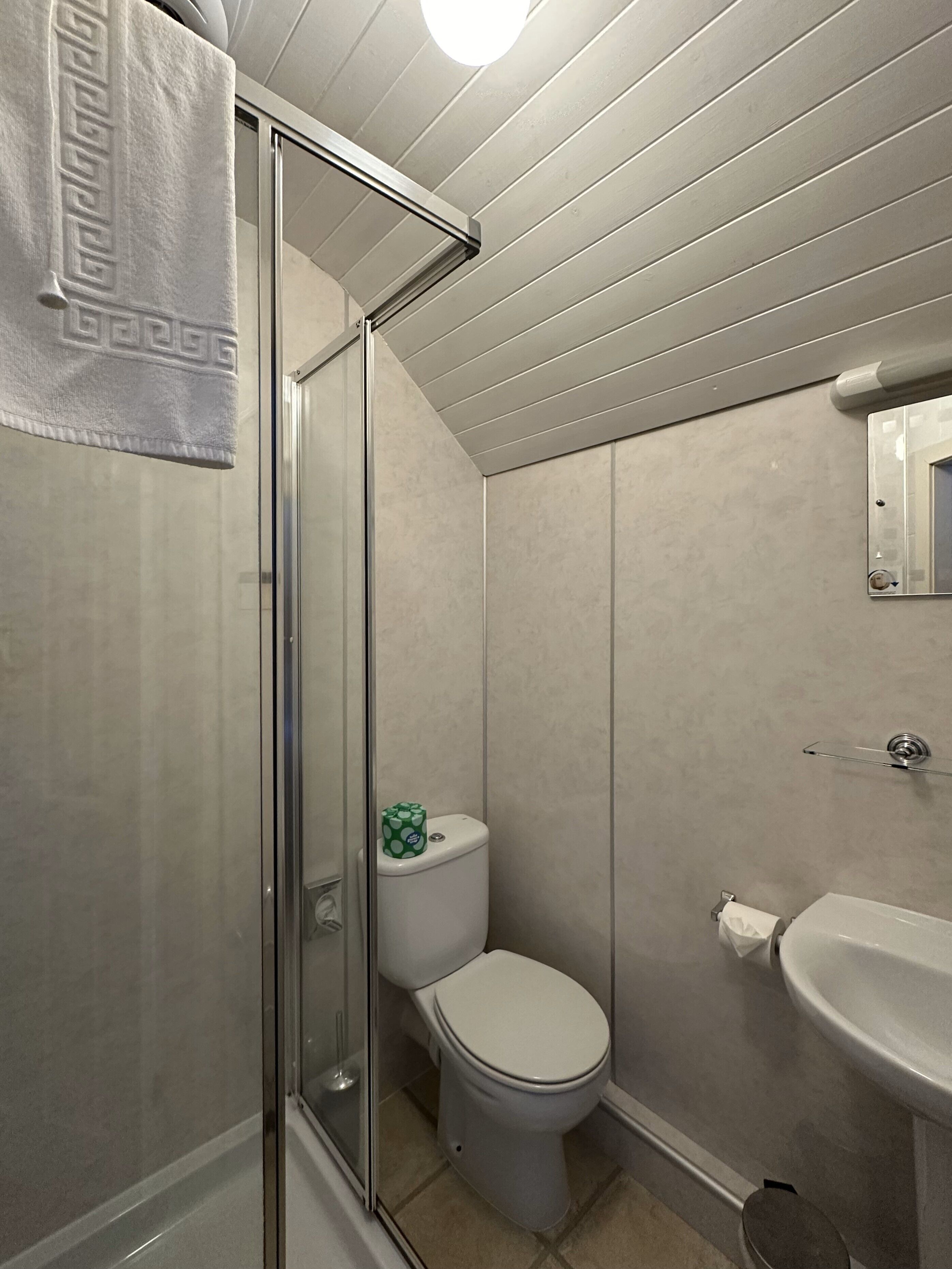 A bathroom with a glass shower enclosure, a toilet, and a sink.