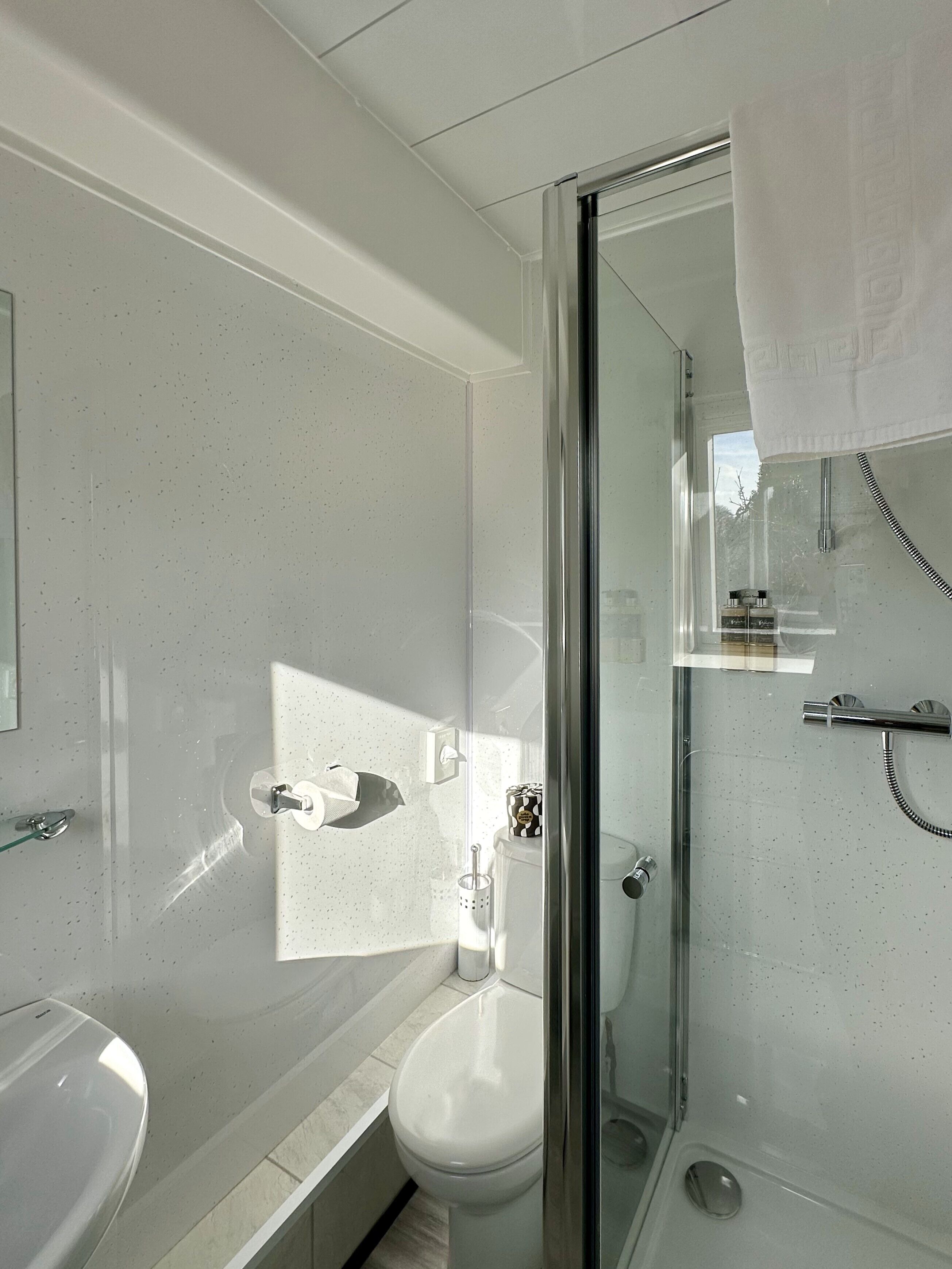 A modern bathroom with a glass shower enclosure, a white toilet, and a sink.