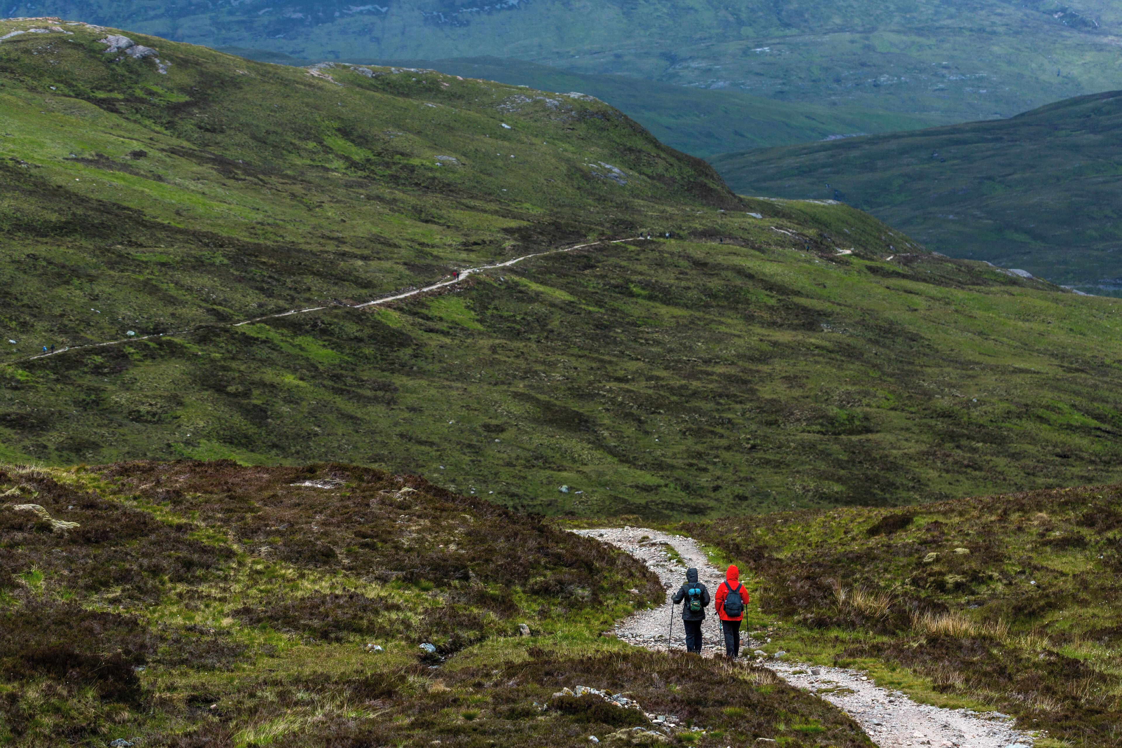 Ein Wanderweg in einer gebirgigen Gegend mit grüner Wiese und felsigem Gelände.