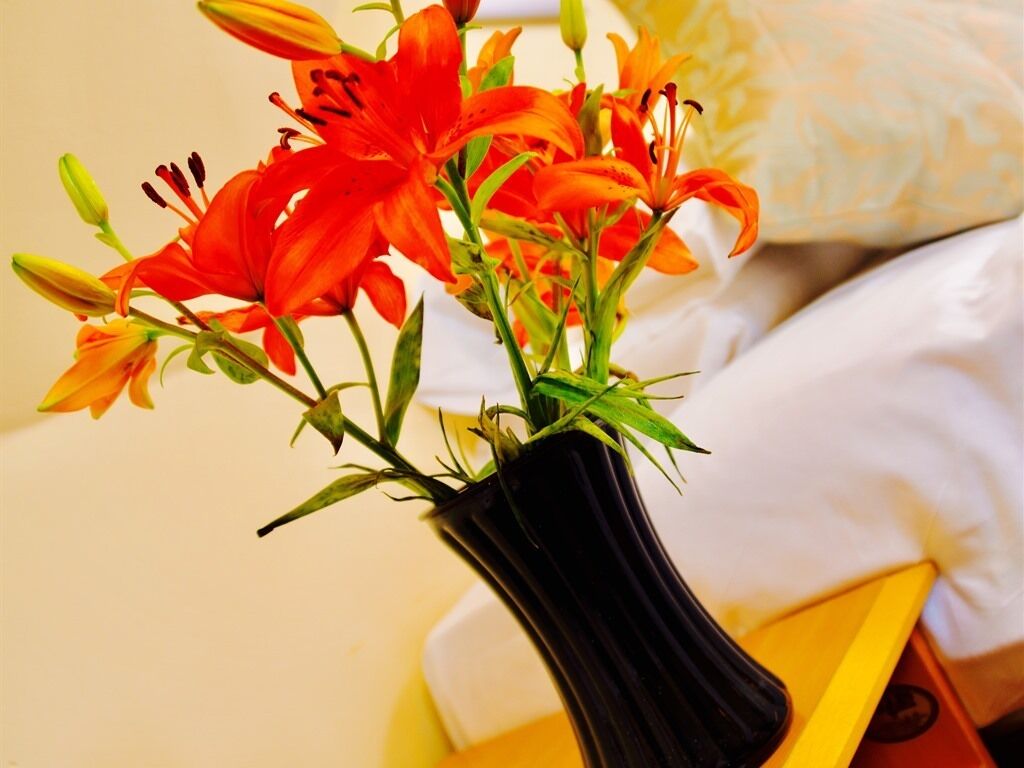 Foto - Grainger House Hotel