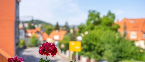A street with red flowers in the foreground and a yellow sign in the background.