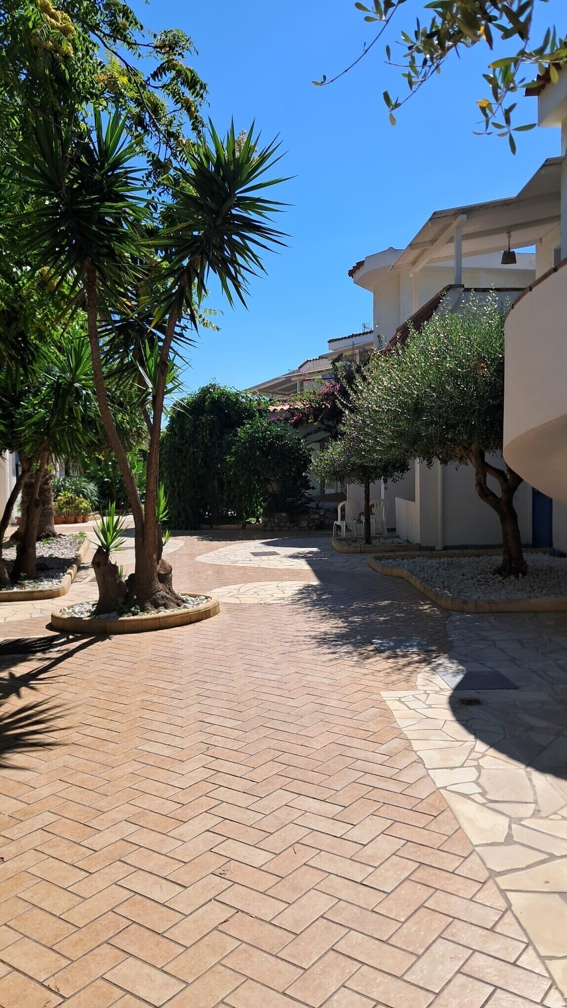 Un cortile lastricato con palme e un edificio dalla facciata bianca.
