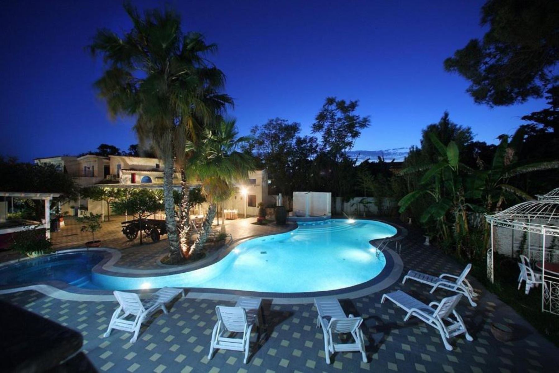 Una piscina con un design curvo unico, circondata da lettini e palme.