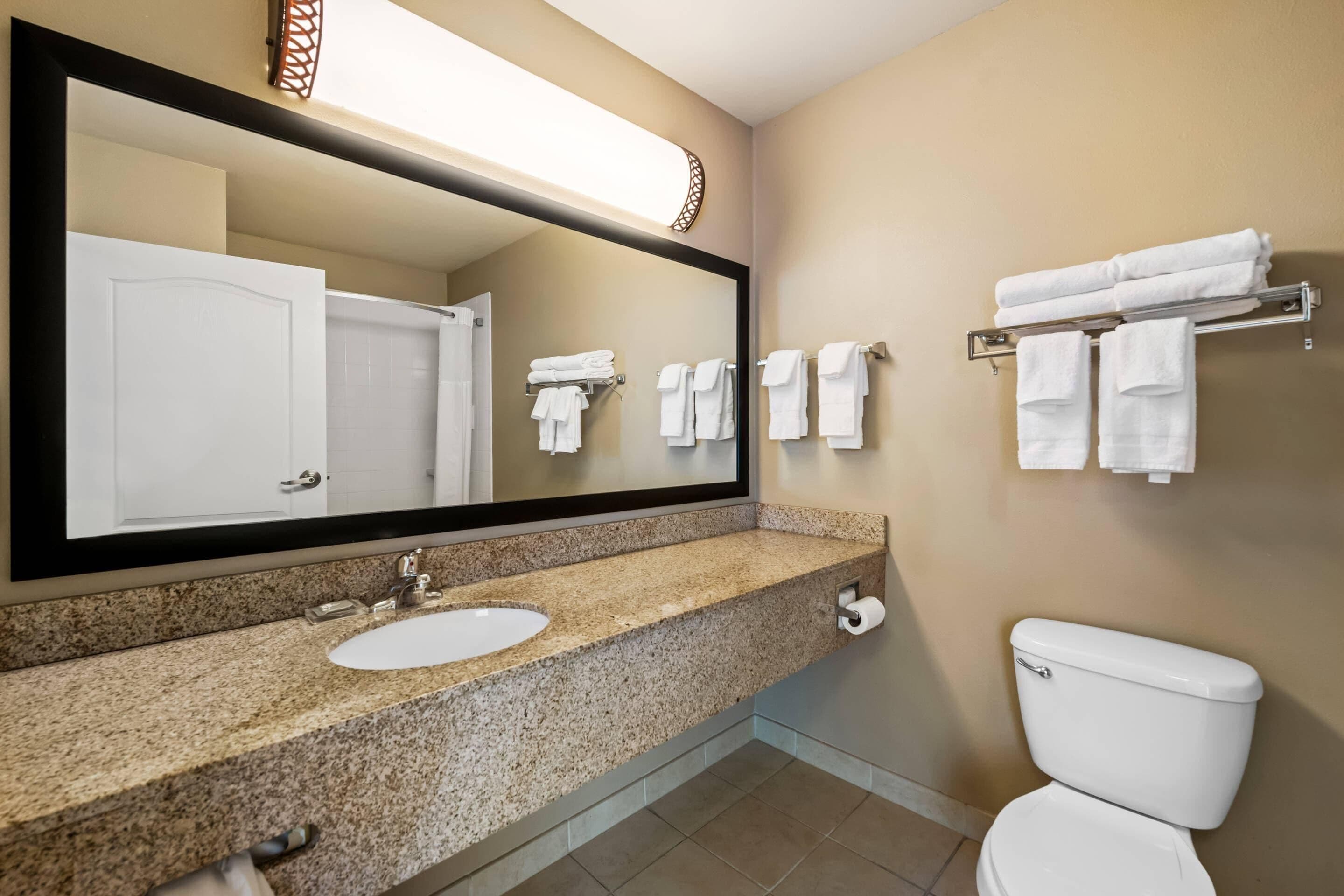 Un bagno con lavabo su piano in granito, uno specchio grande, un water e un portasciugamani.