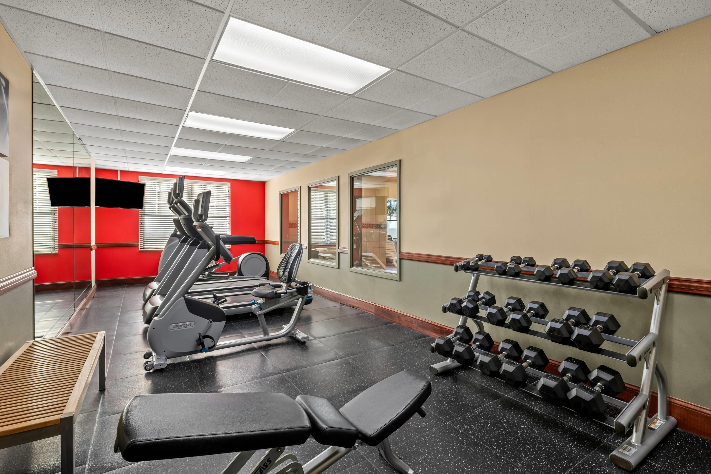 A gym with exercise equipment, a bench, and a rack of dumbbells.