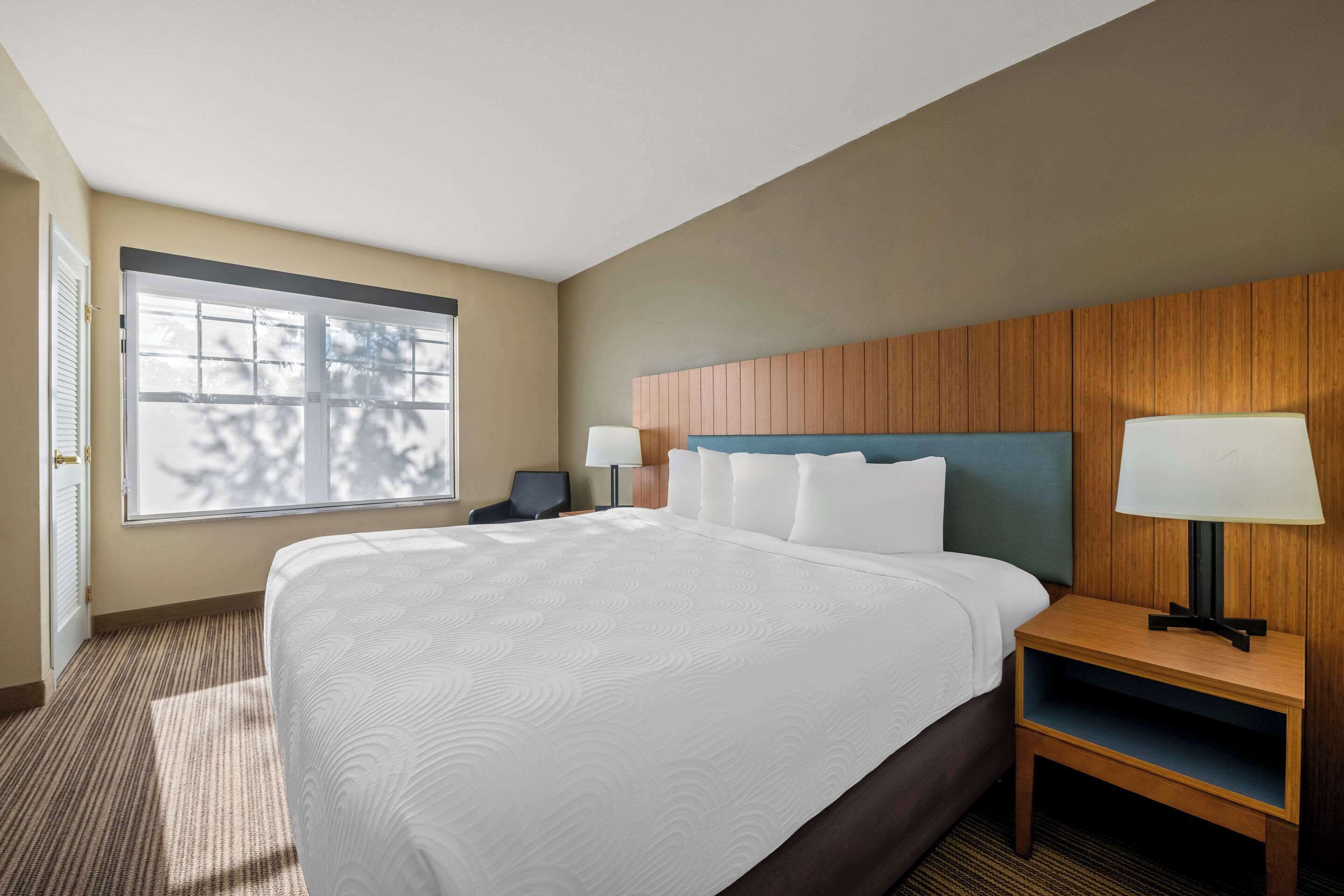 1 bedroom, premium bedding, desk, blackout curtains