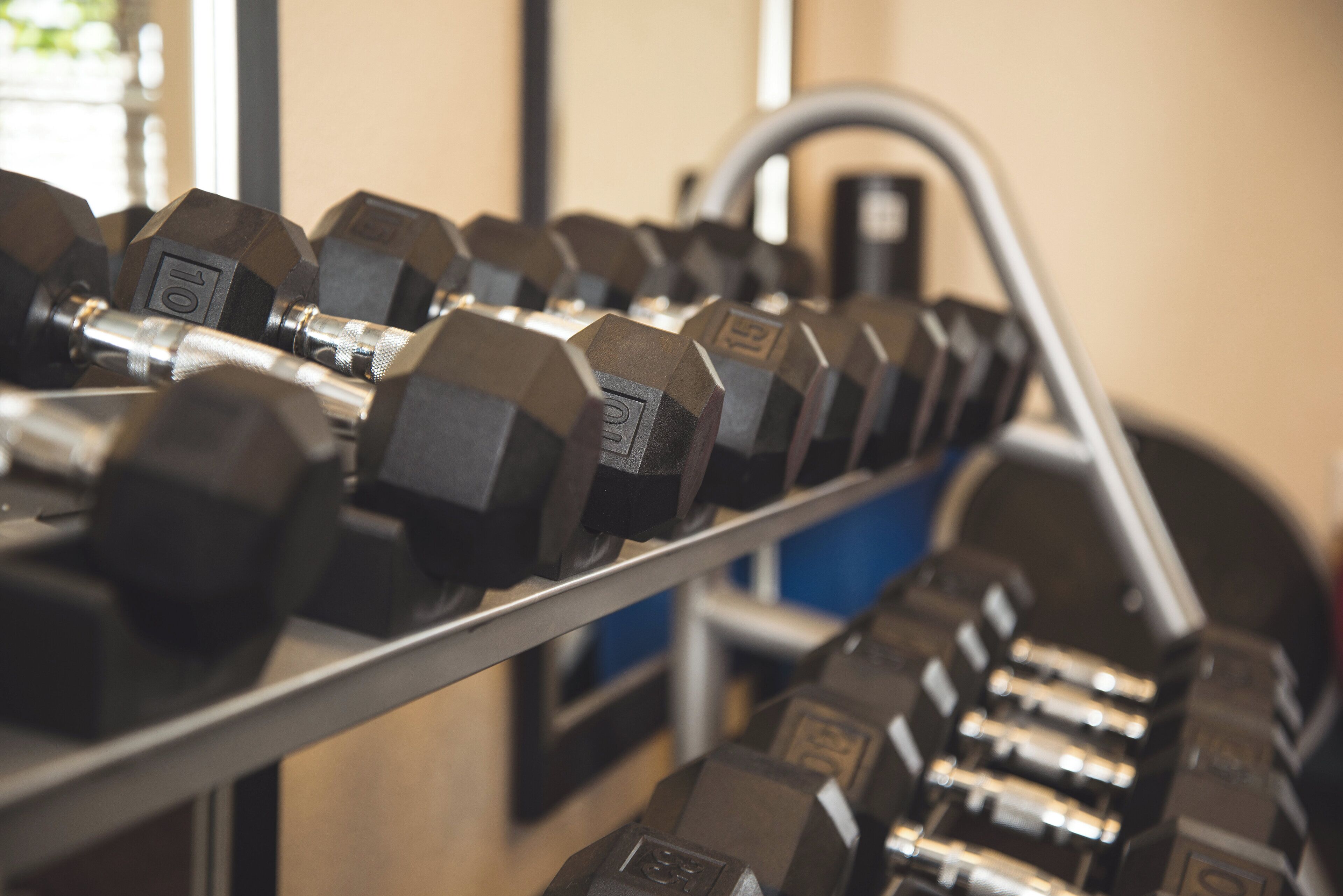 Un porte-haltères avec des haltères de différents poids, ce qui indique qu’il s’agit d’une salle de sport.