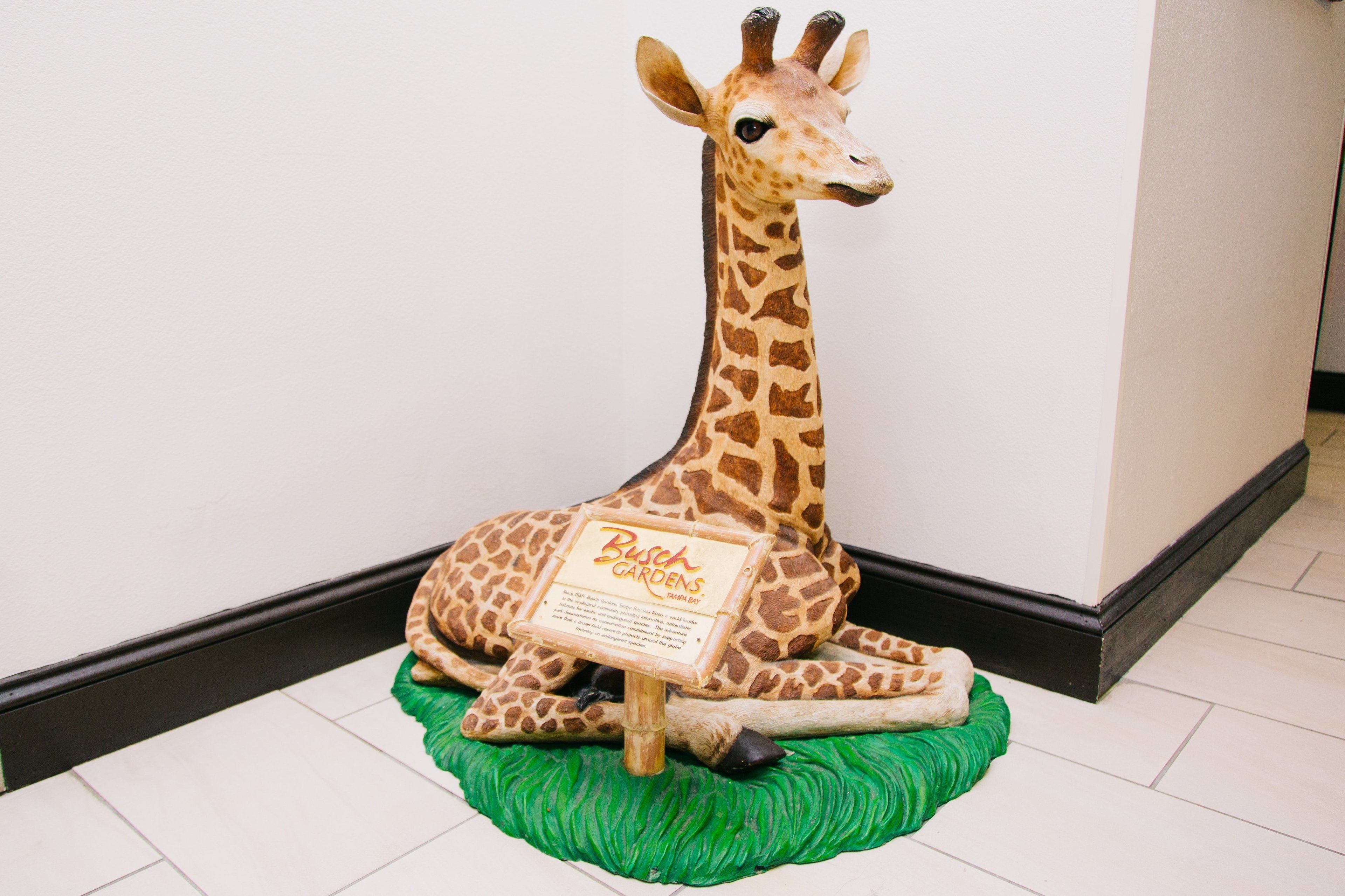 Foto - Holiday Inn Express Hotel & Suites Tampa-USF-Busch Gardens by IHG