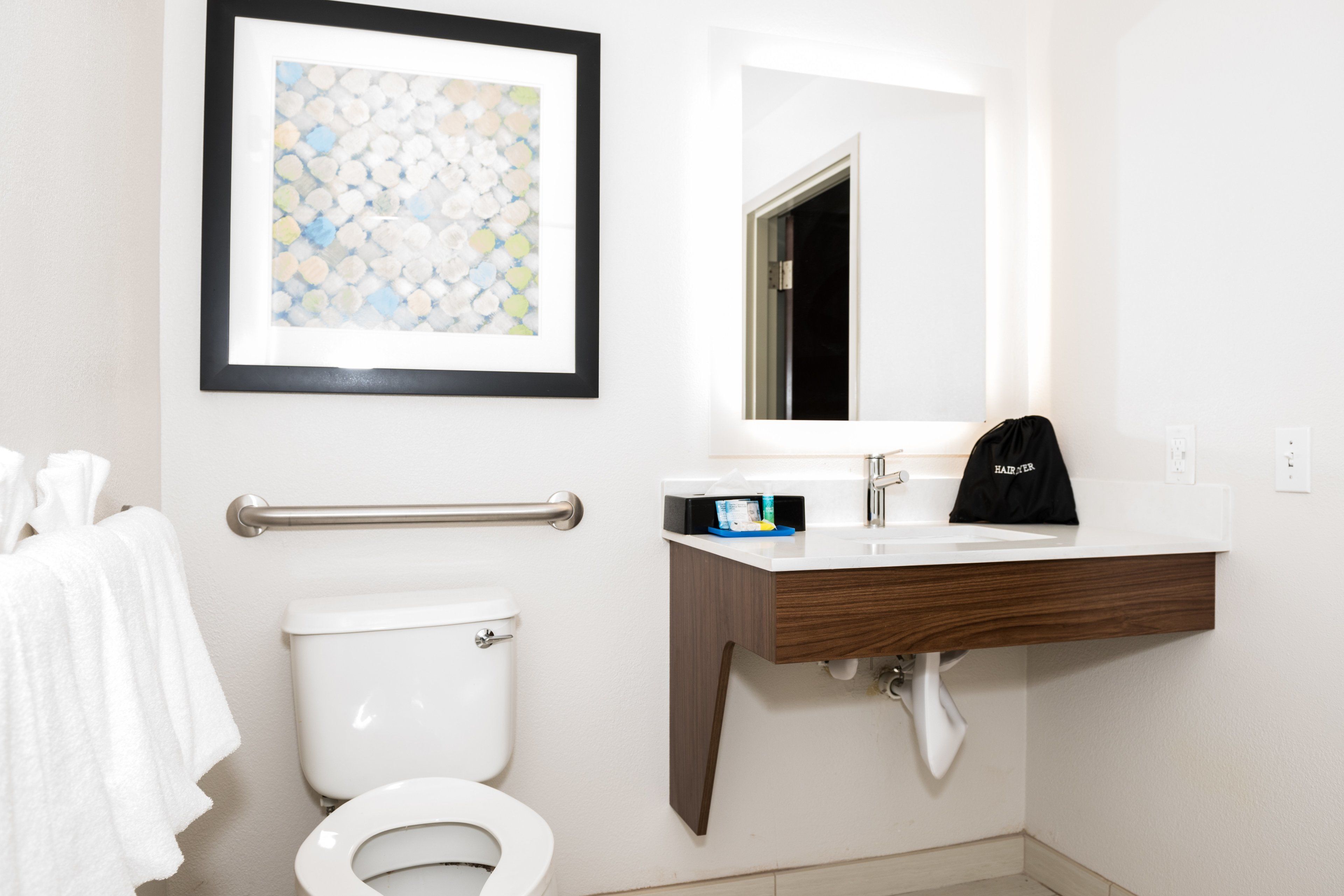 Foto - Holiday Inn Express Hotel & Suites Tampa-USF-Busch Gardens by IHG