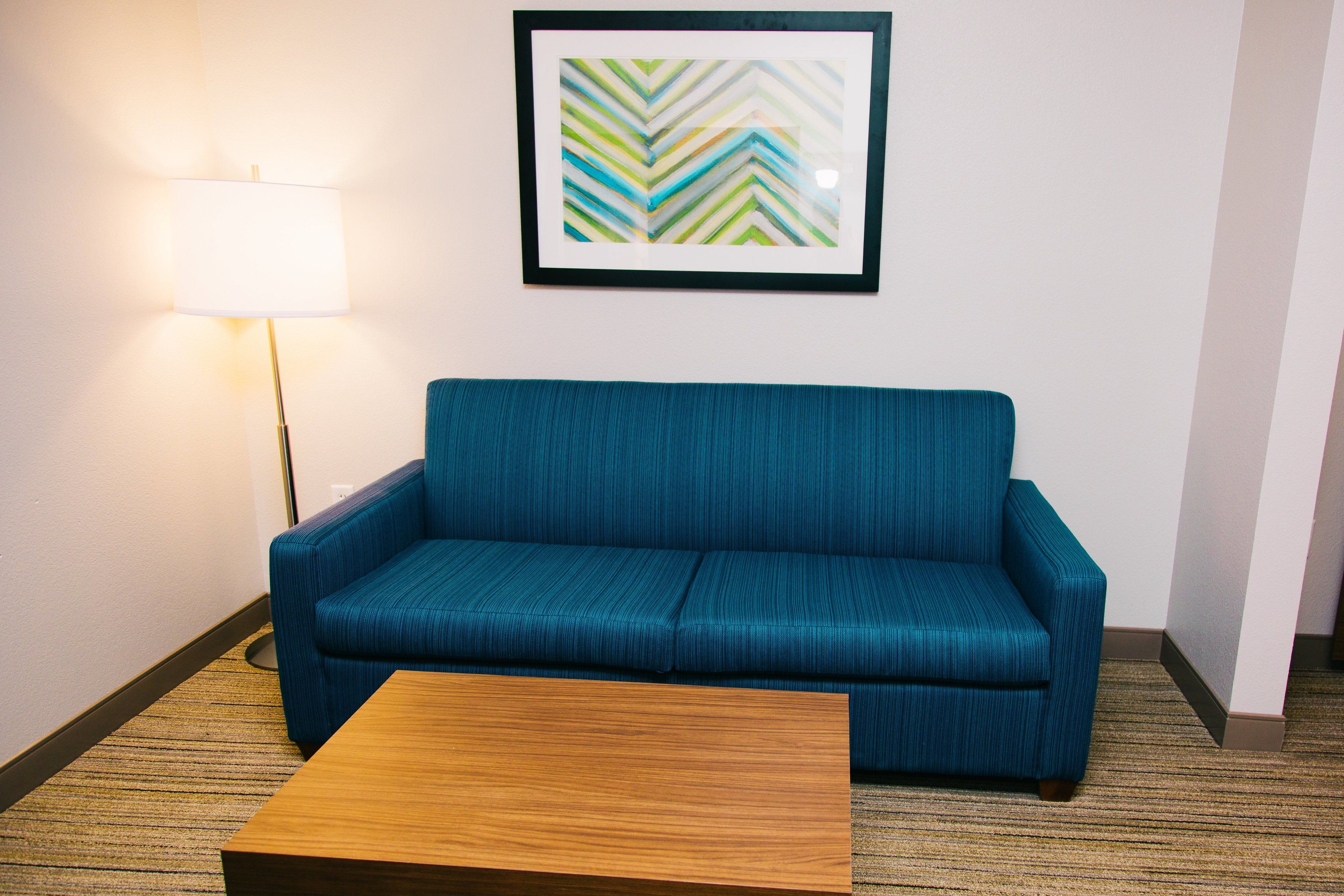 Foto - Holiday Inn Express Hotel & Suites Tampa-USF-Busch Gardens by IHG