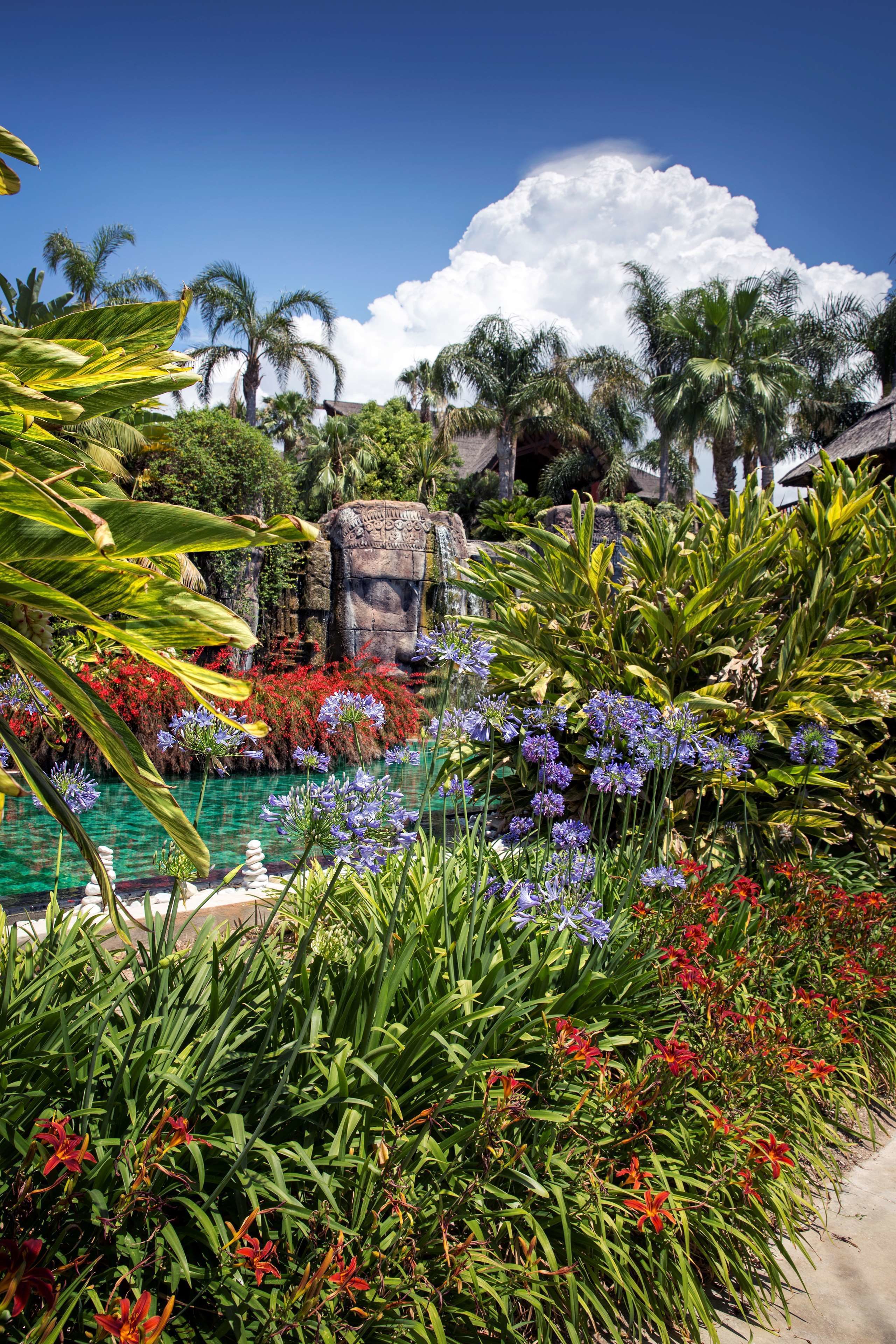 7 outdoor pools, open 11:00 AM to 7:00 PM, pool umbrellas, pool loungers