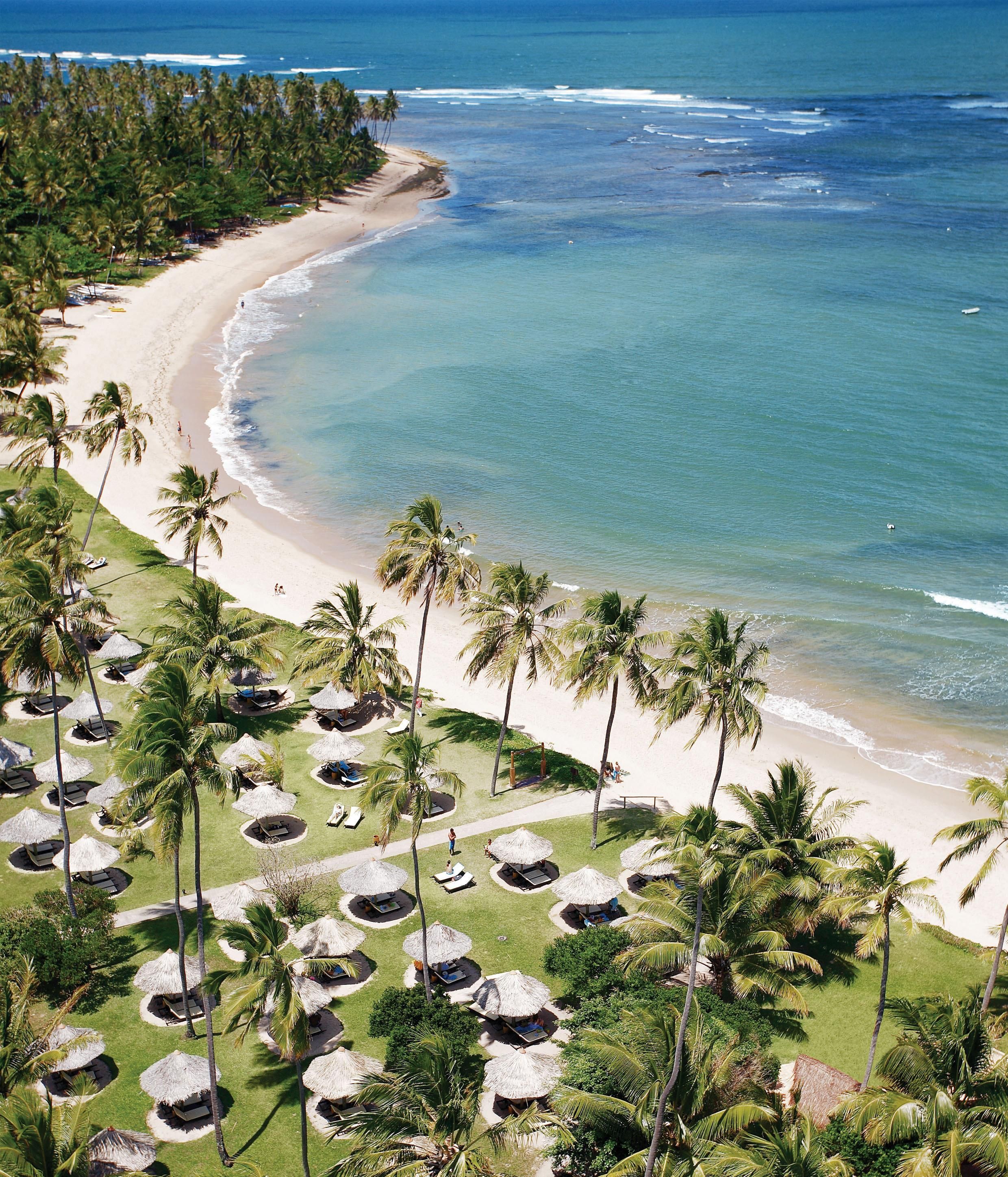 A beach resort with thatched umbrellas and palm trees.