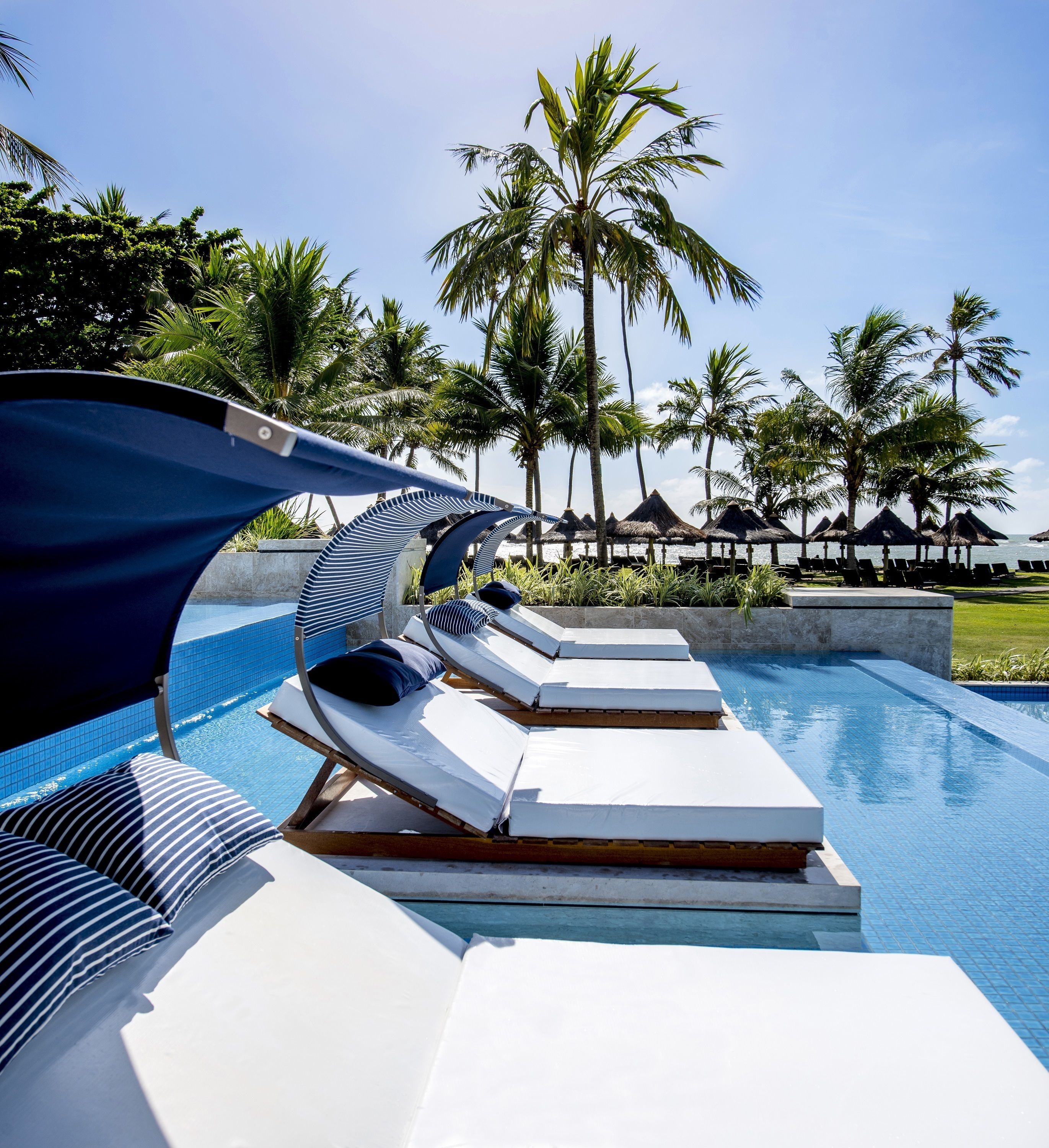 A poolside area with lounge chairs and umbrellas, surrounded by palm trees and a clear sky.