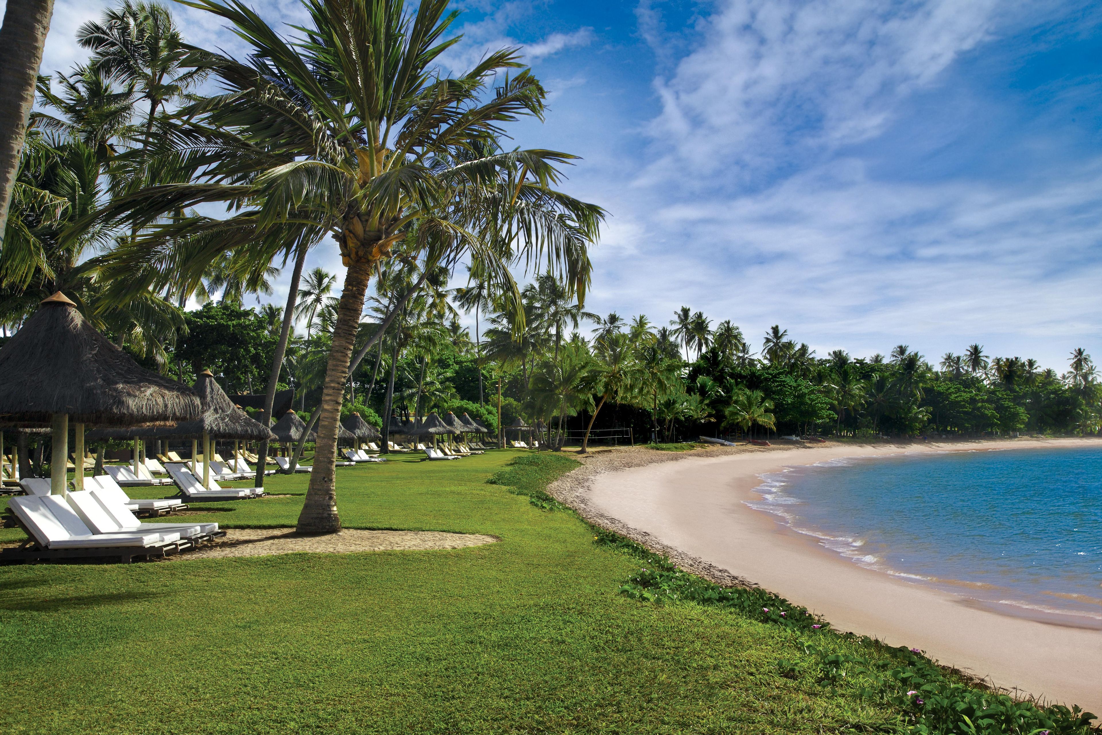 A beach resort with thatched-roof huts, sun loungers, and palm trees.