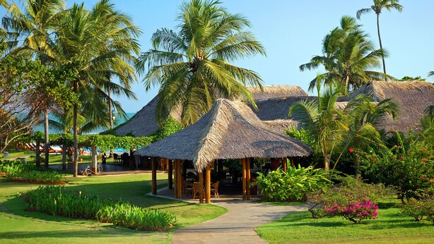 Een resort met rieten hutten, palmbomen en een pad dat naar de gebouwen leidt.