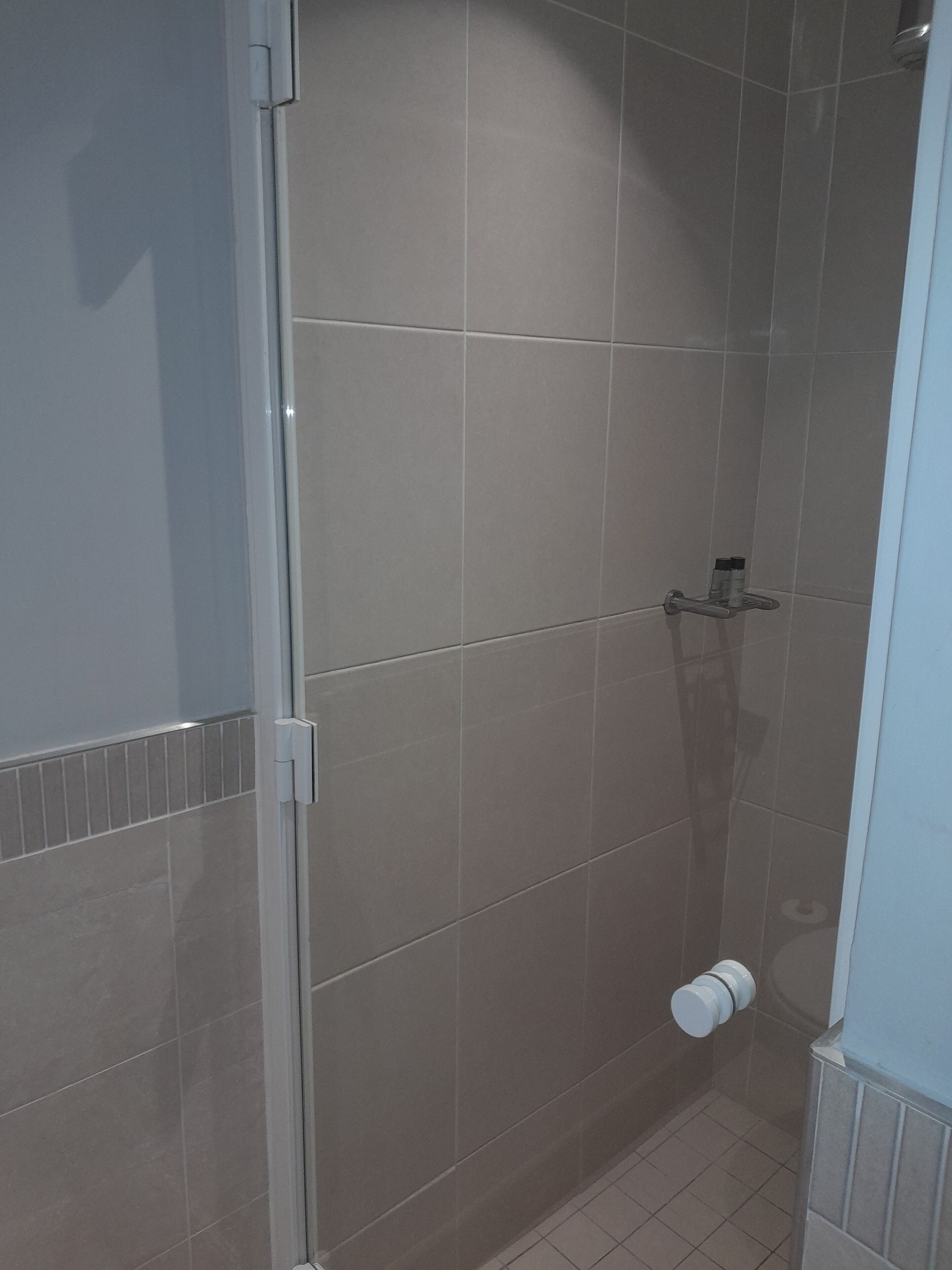 Ein Badezimmer mit Duschbereich, gefliesten Wänden und Toilette.