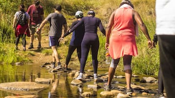 Des personnes traversent un petit ruisseau en marchant sur des rochers.