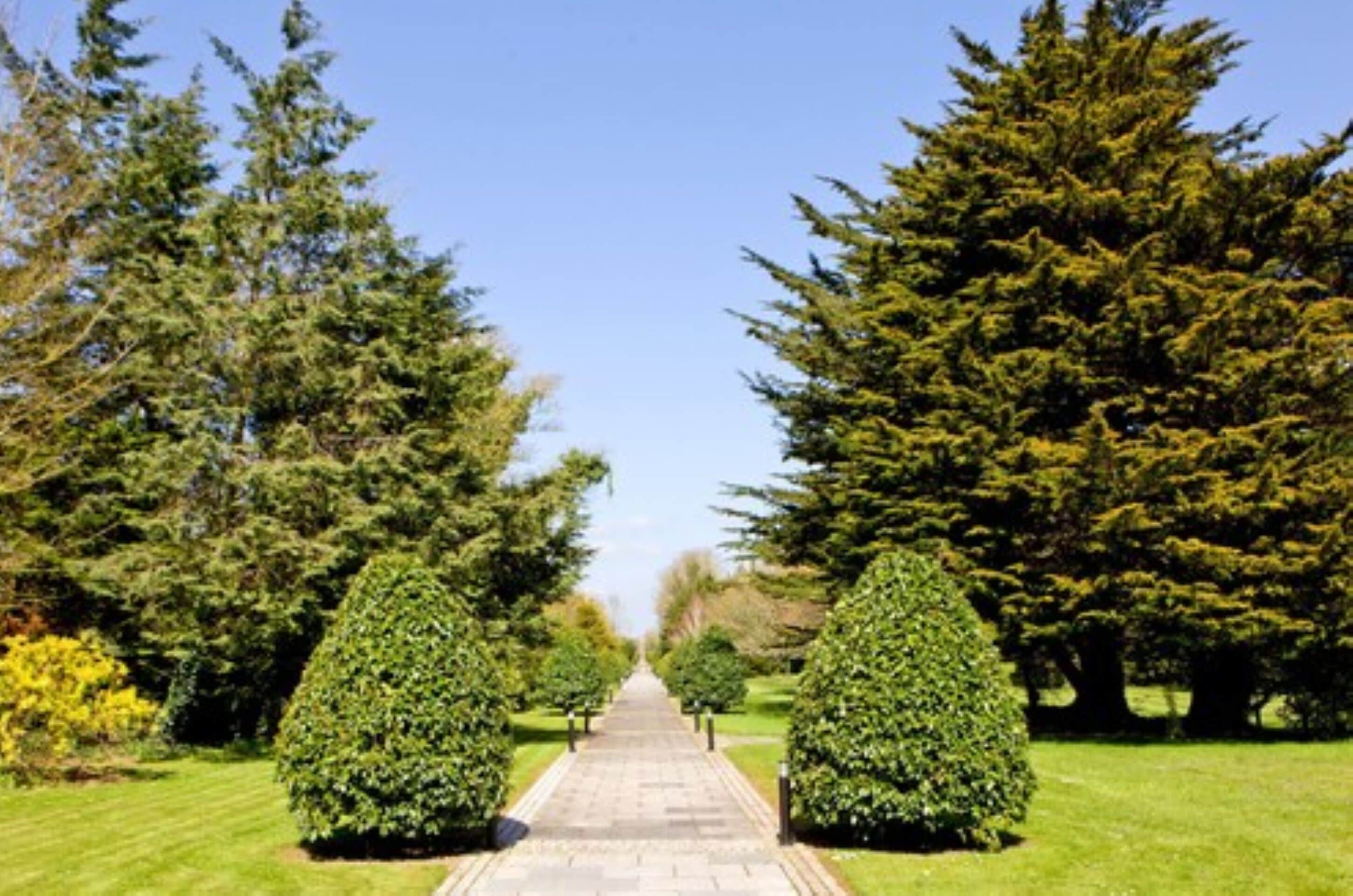 children’s play area – outdoor