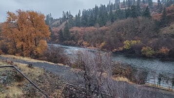 A river flowing through a forested area with autumn foliage.