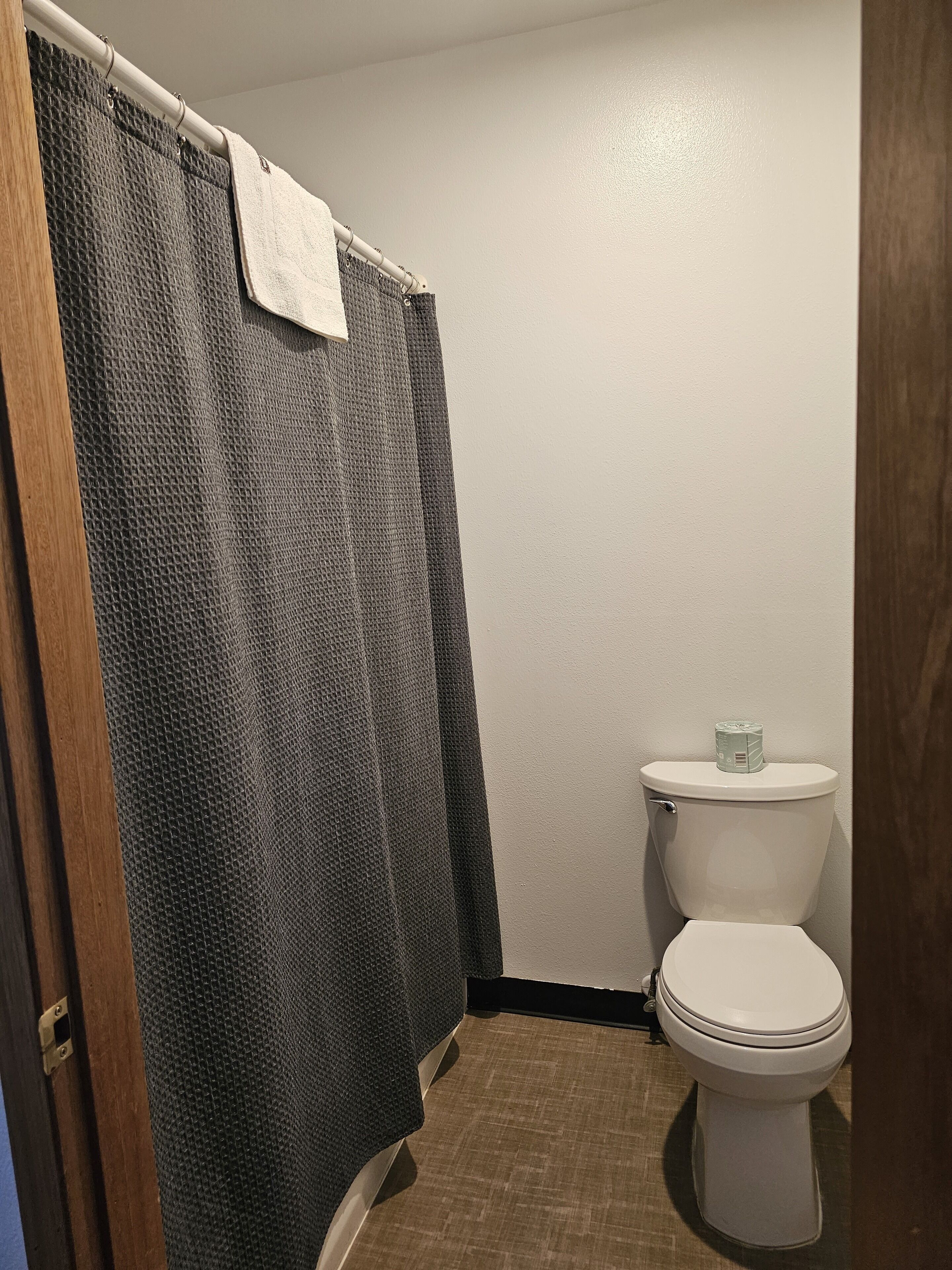 A bathroom with a shower curtain, a toilet, and a wooden door.