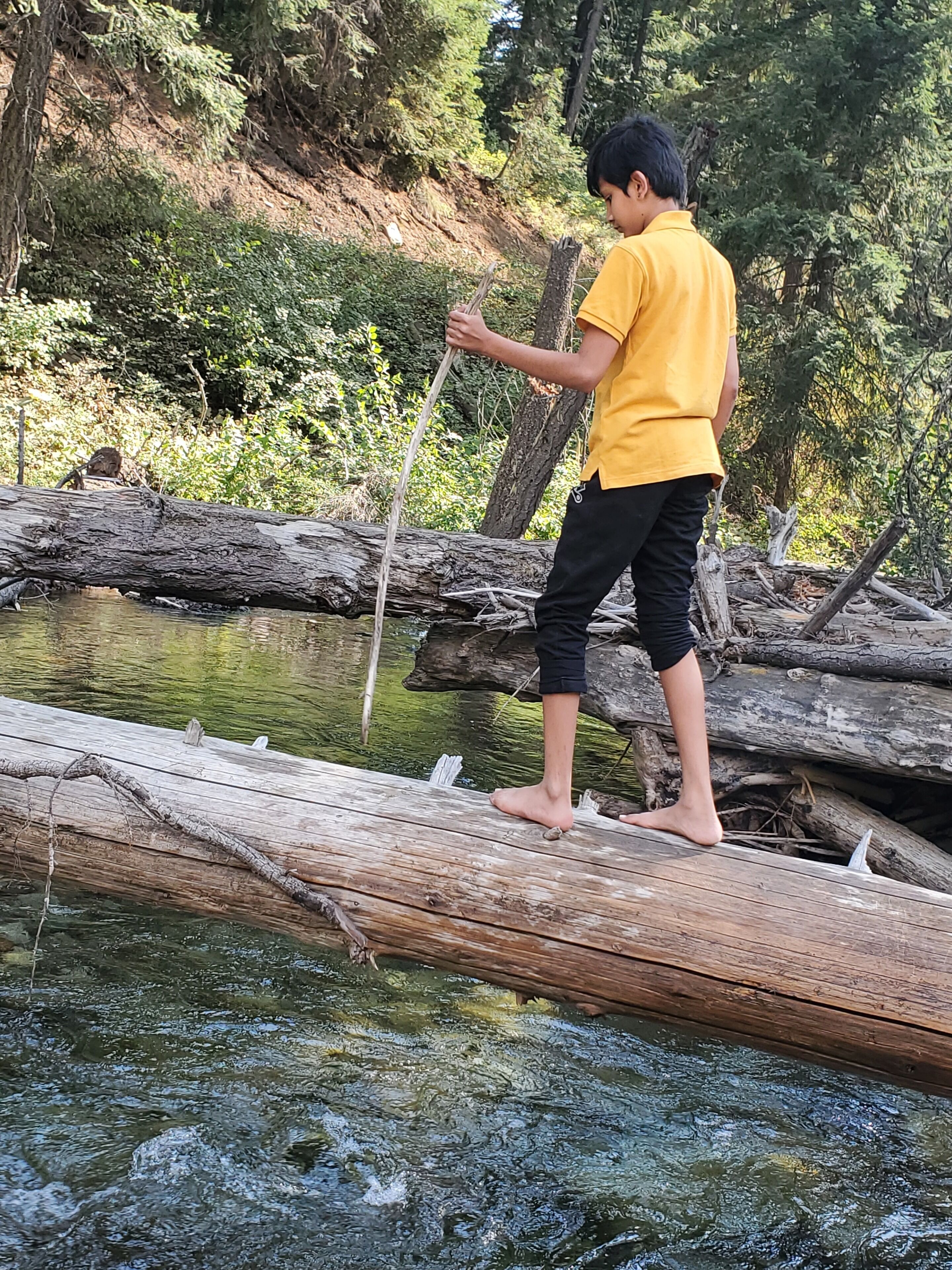 A person standing on a wooden platform over water, surrounded by natural scenery.