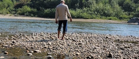Vissen