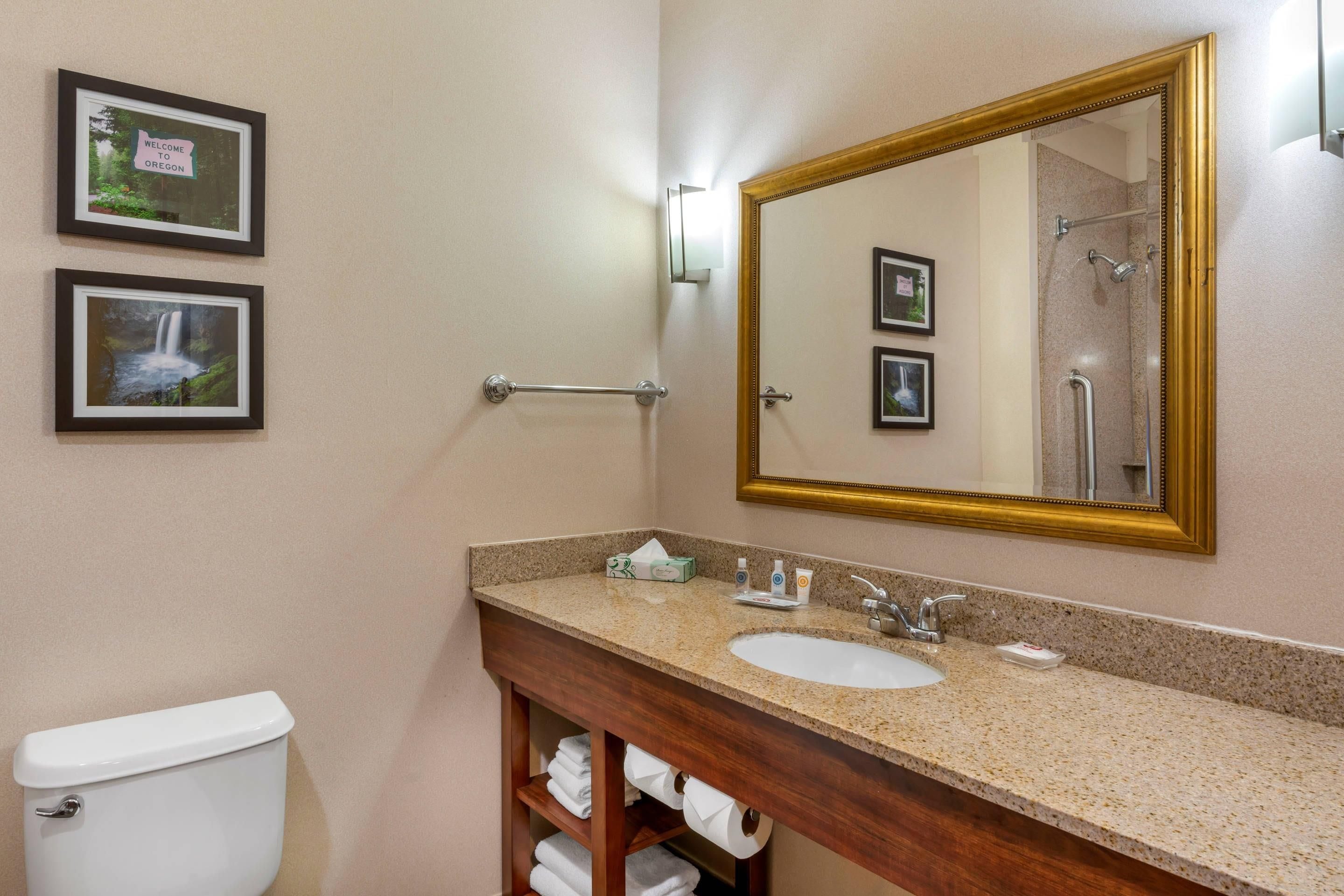 A bathroom with a sink, toilet, and a large mirror. There are framed pictures on the wall and a towel rack.