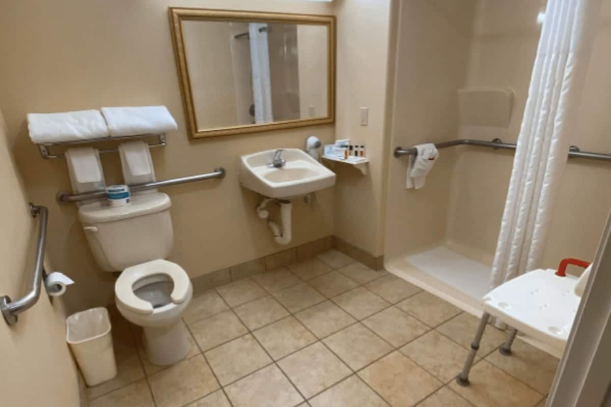 room, 1 king bed, accessible, non smoking | bathroom | free toiletries, hair dryer, towels, soap