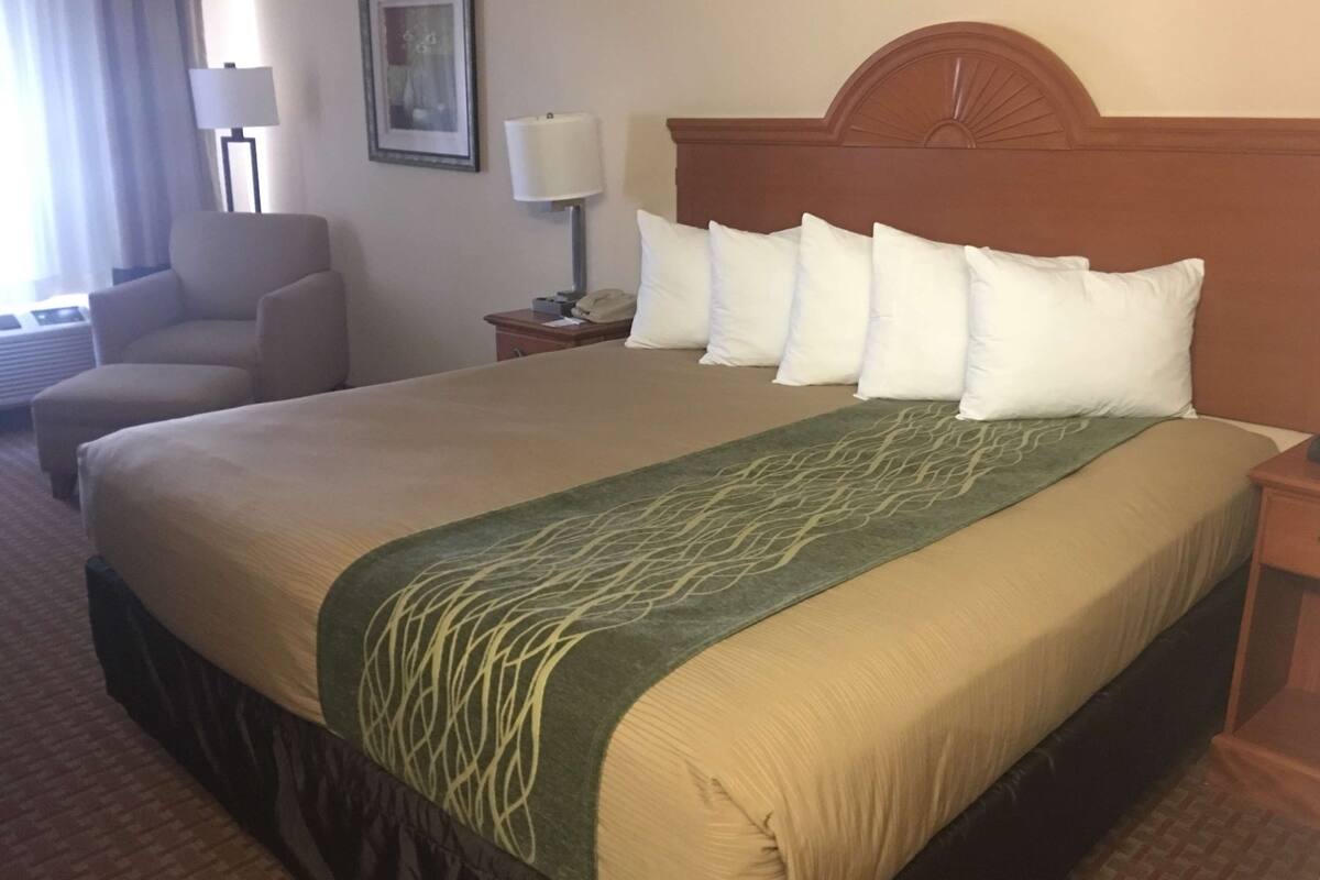 A hotel room with a large bed, a chair, a nightstand with a lamp, and a framed picture on the wall.