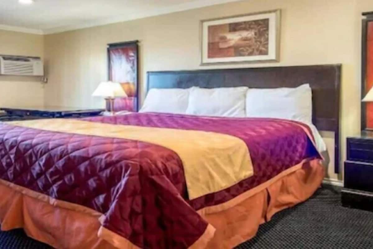 economy room, 1 king bed, refrigerator & microwave, city view | desk, rollaway beds, free wifi